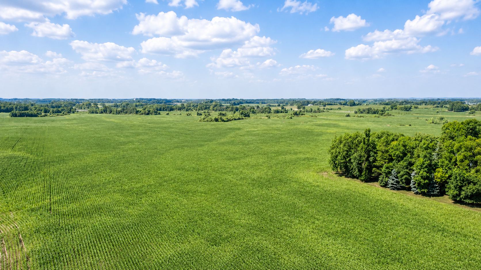 land for sale at TBD 310th Avenue in Underwood, MN (photo 2 of 8)