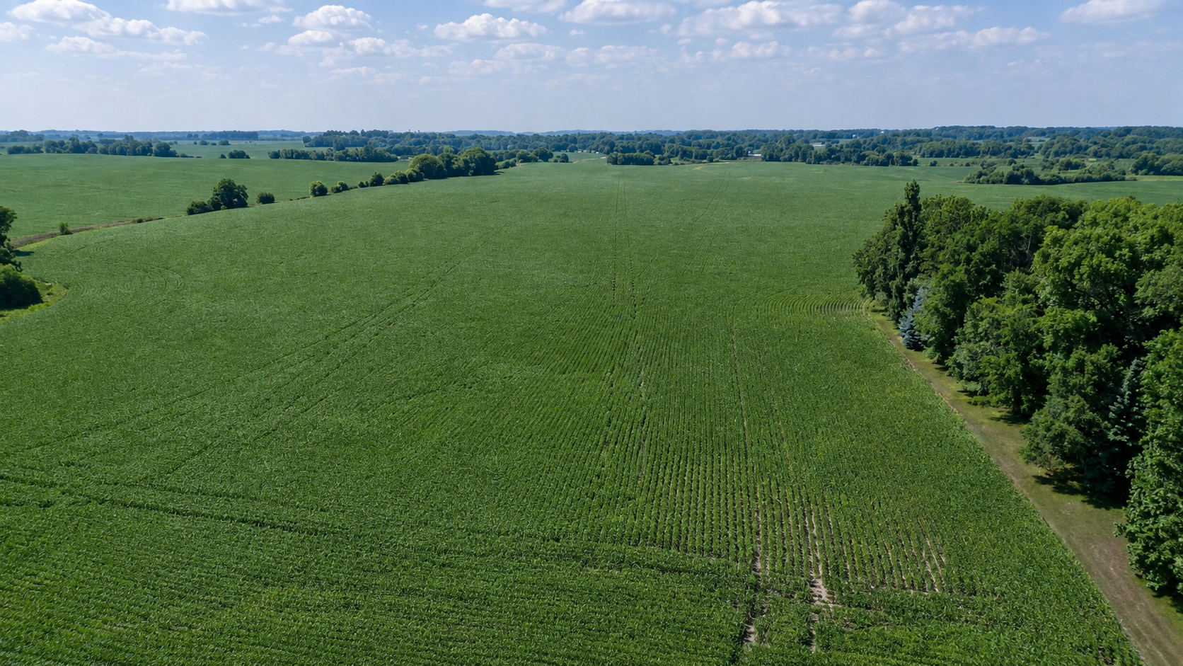 land for sale at TBD 310th Avenue in Underwood, MN (photo 3 of 8)