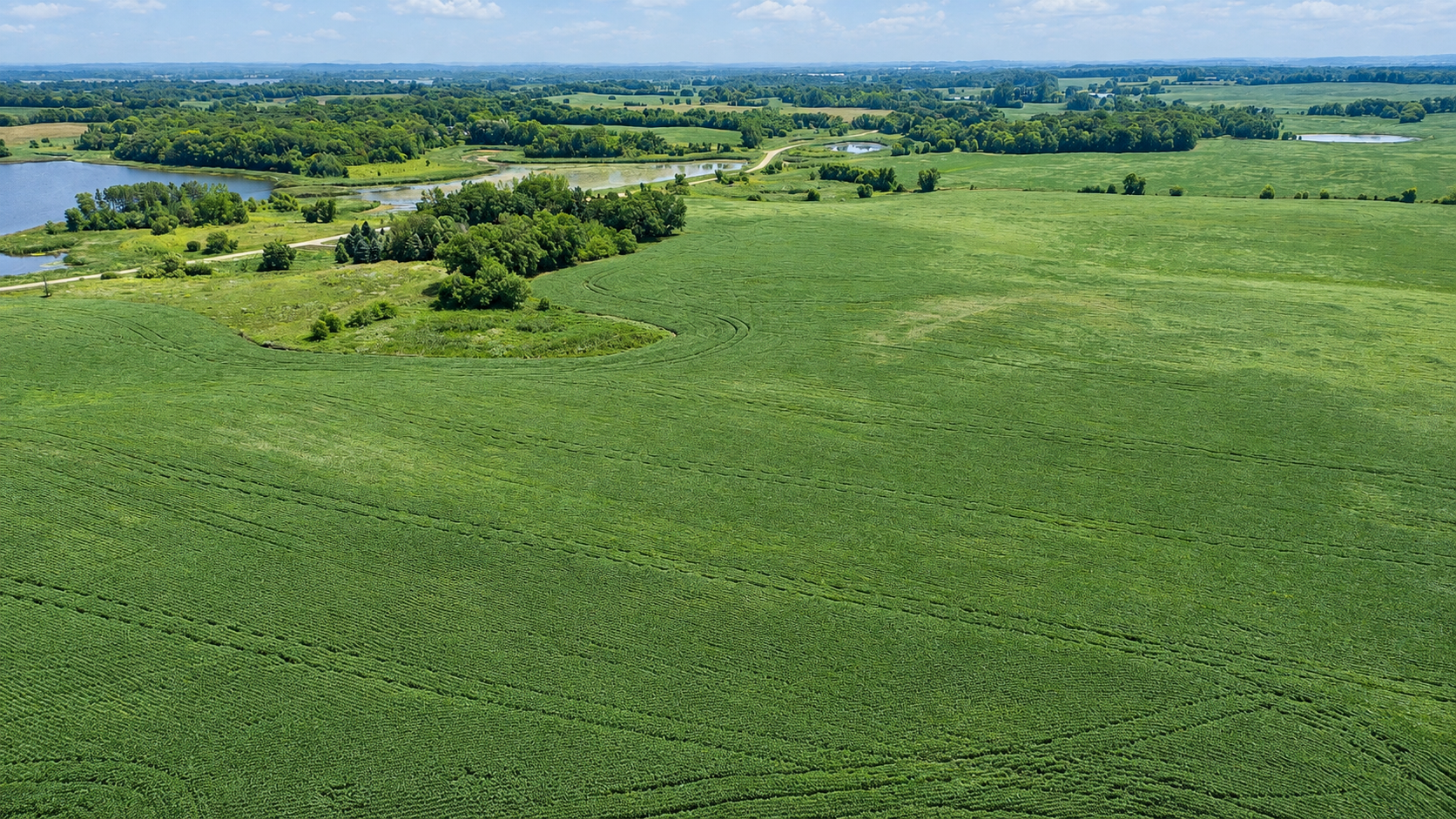 land for sale at TBD 310th Avenue in Underwood, MN (photo 5 of 8)