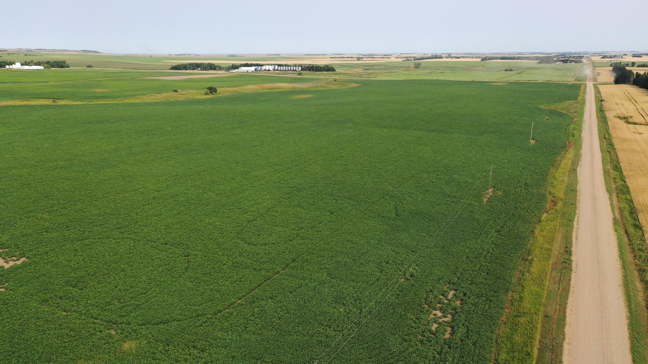 land for sale at TBD 366th ave NW in Kenmare, ND (photo 2 of 27)