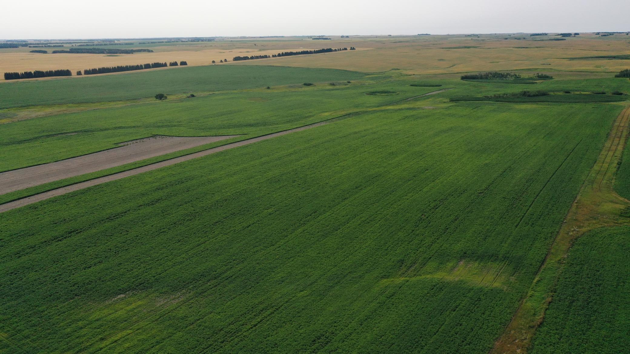 land for sale at TBD 366th ave NW in Kenmare, ND (photo 11 of 27)