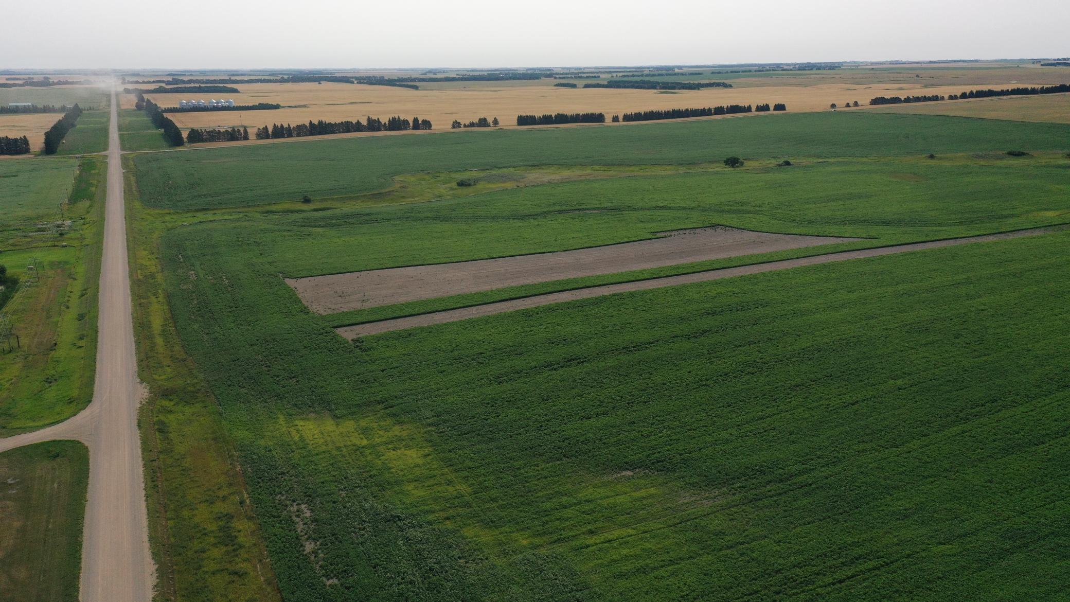 land for sale at TBD 366th ave NW in Kenmare, ND (photo 12 of 27)