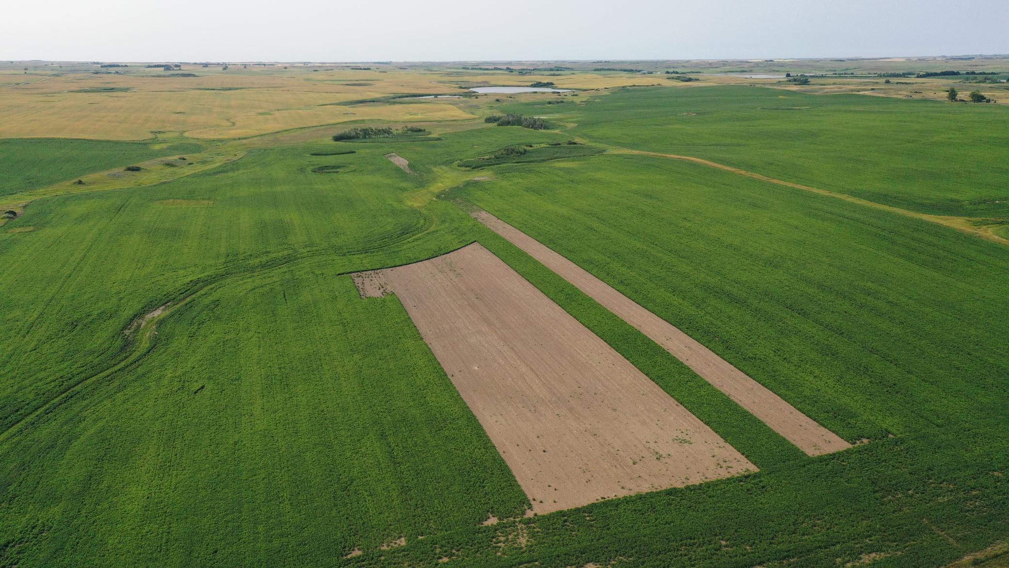 land for sale at TBD 366th ave NW in Kenmare, ND (photo 13 of 27)