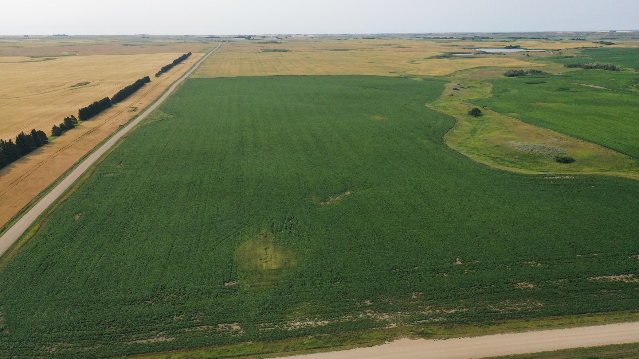 land for sale at TBD 366th ave NW in Kenmare, ND (photo 14 of 27)