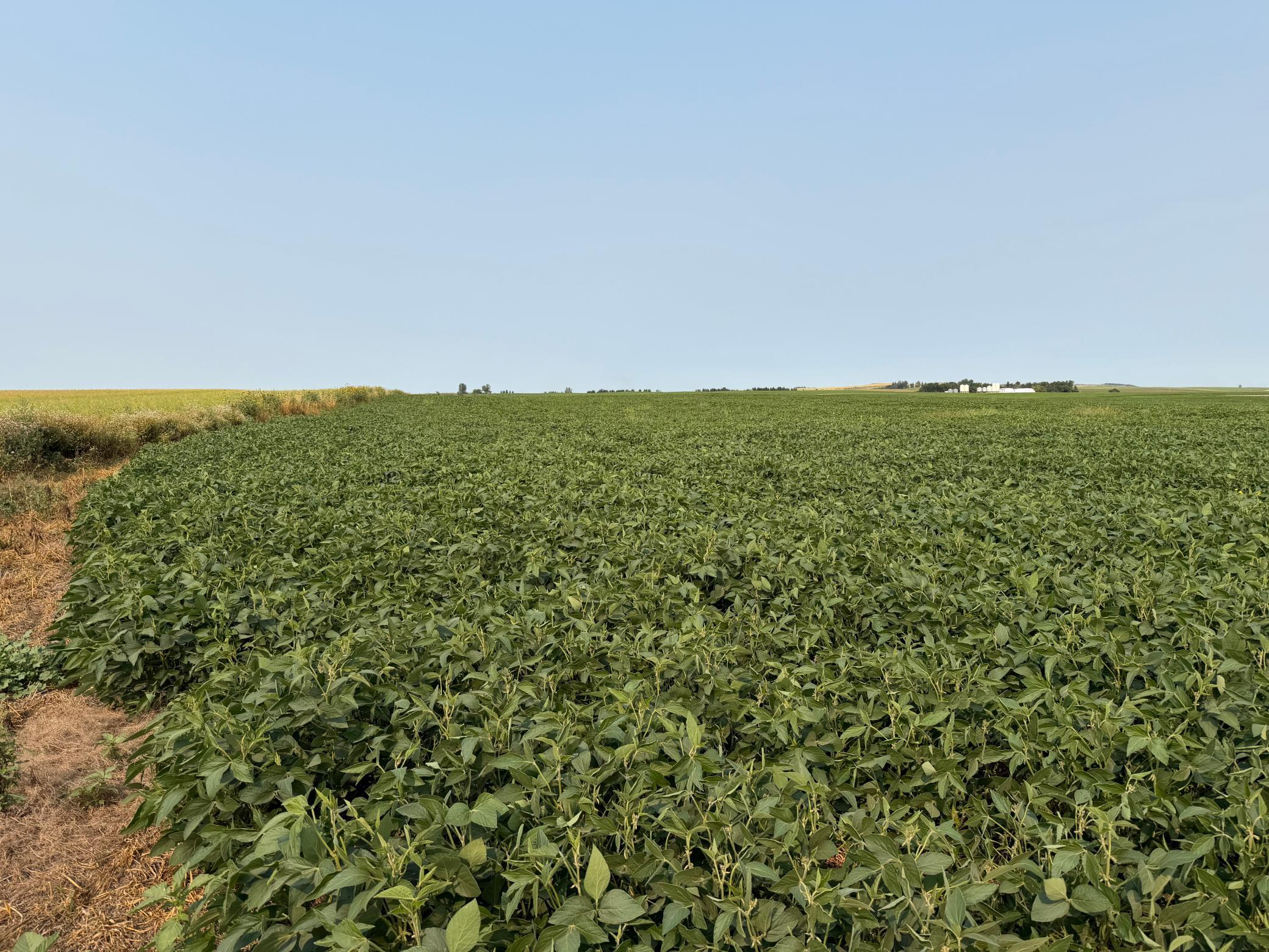 land for sale at TBD 366th ave NW in Kenmare, ND (photo 16 of 27)