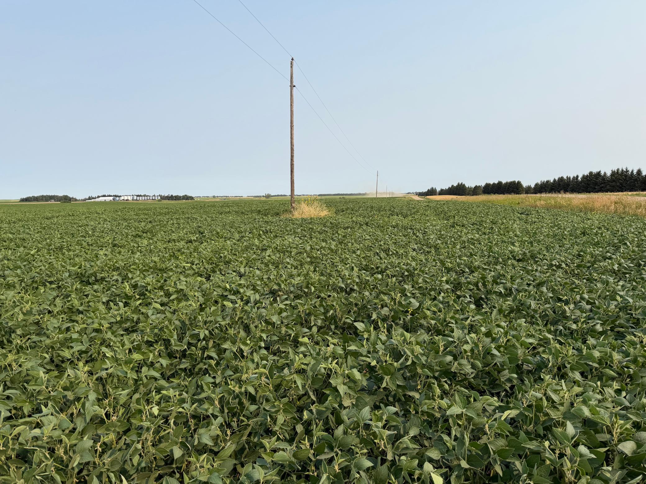 land for sale at TBD 366th ave NW in Kenmare, ND (photo 17 of 27)