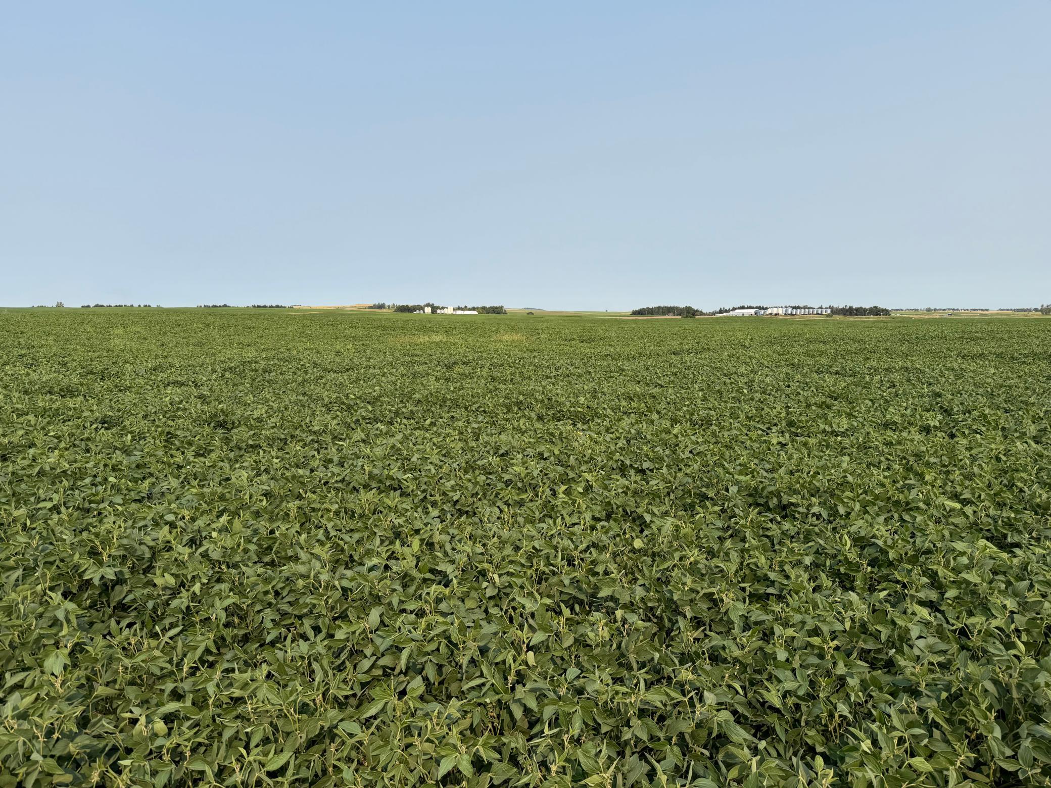 land for sale at TBD 366th ave NW in Kenmare, ND (photo 18 of 27)