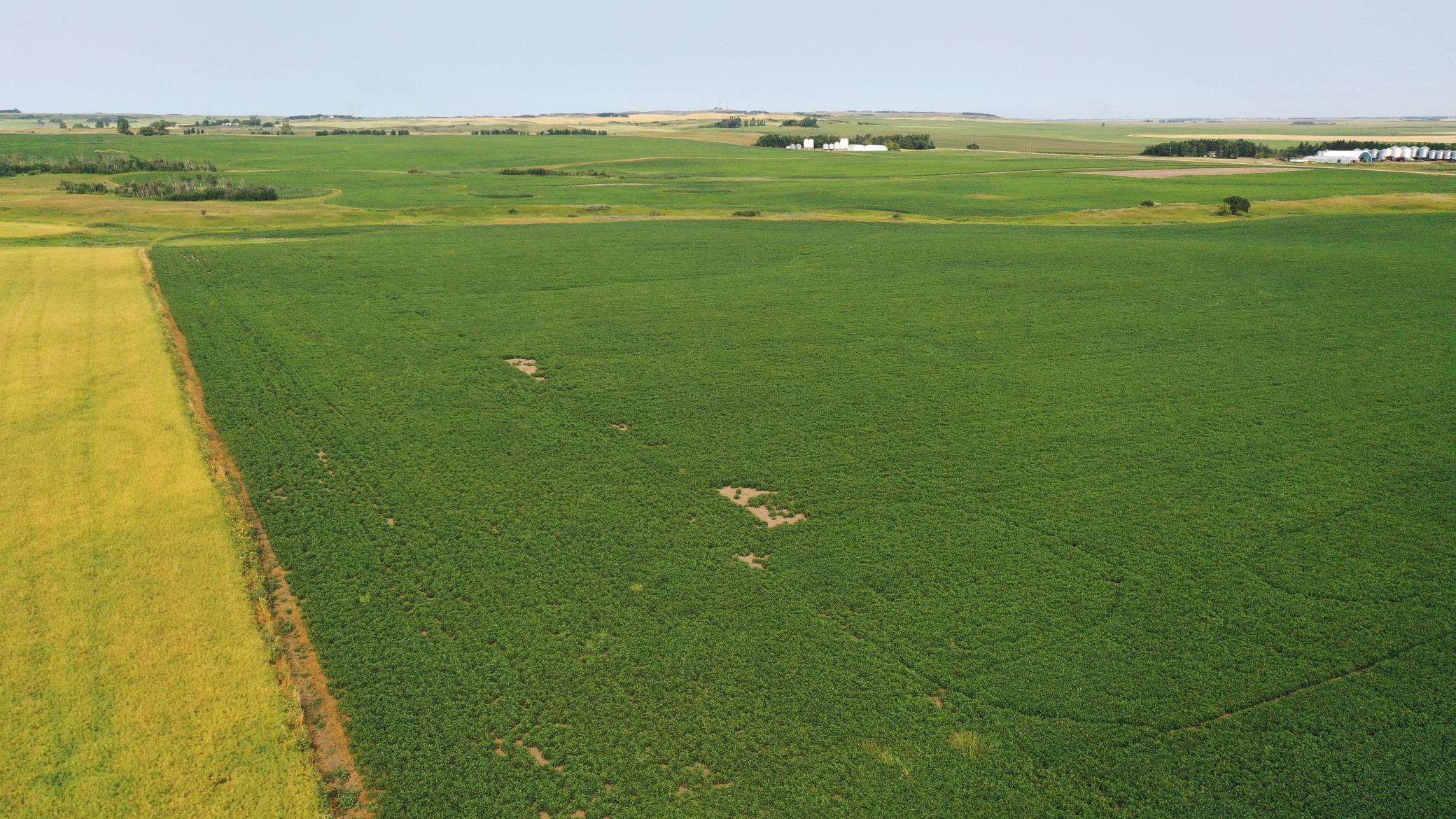 land for sale at TBD 366th ave NW in Kenmare, ND (photo 3 of 27)