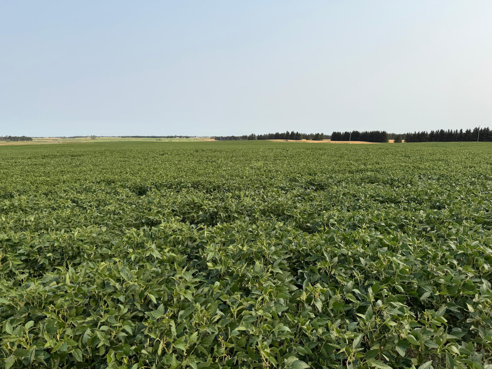 land for sale at TBD 366th ave NW in Kenmare, ND (photo 25 of 27)