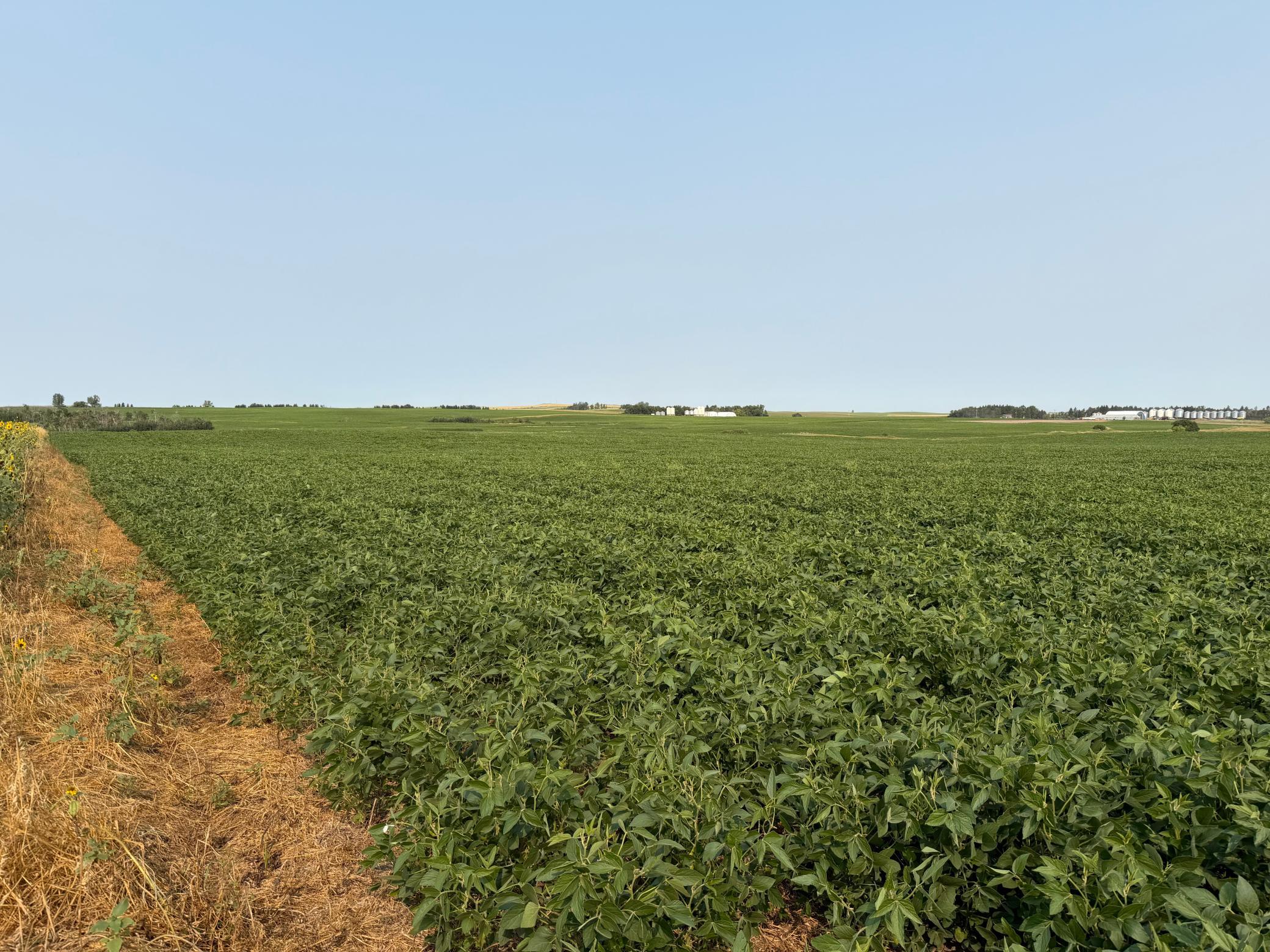 land for sale at TBD 366th ave NW in Kenmare, ND (photo 26 of 27)