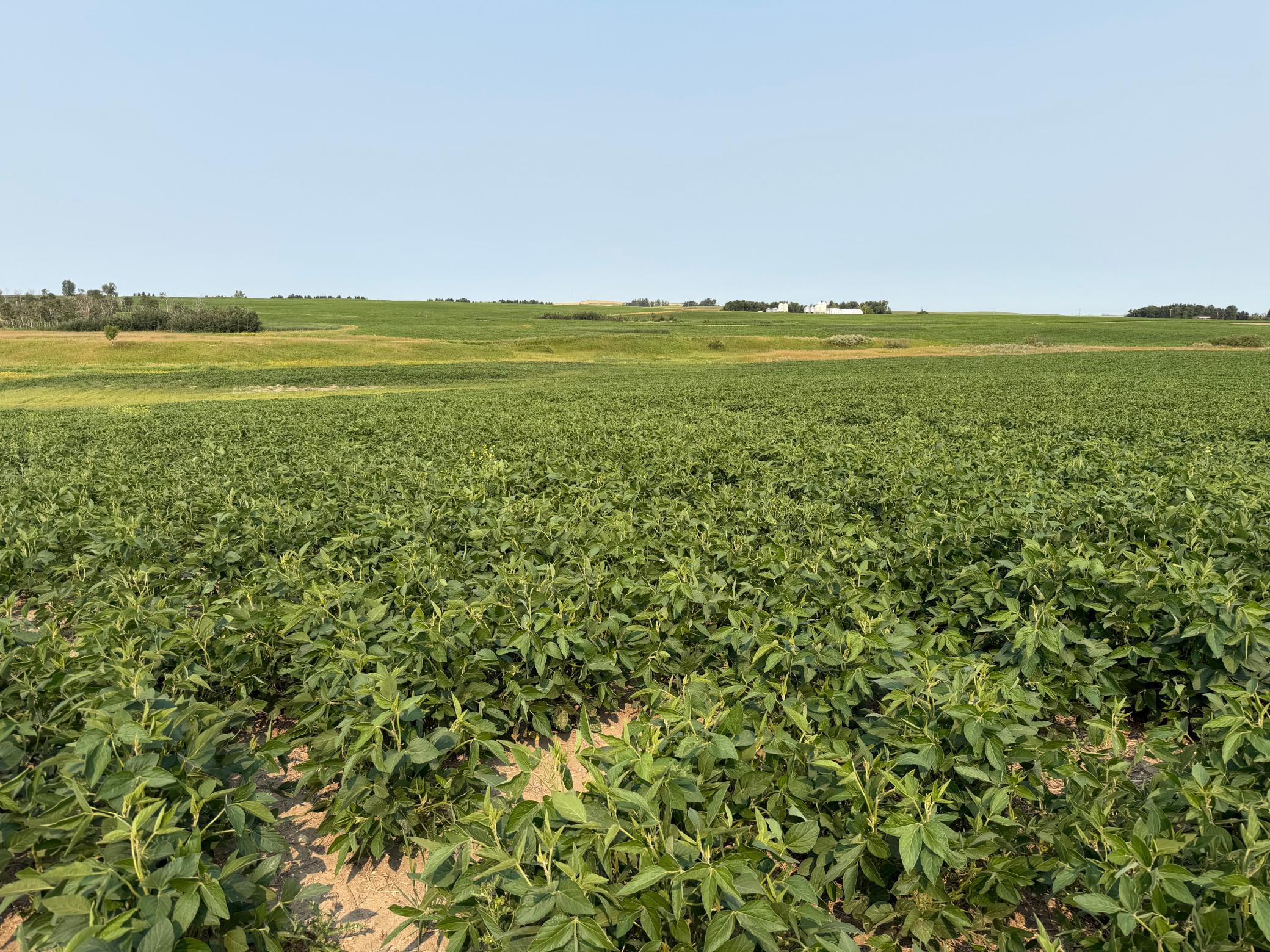 land for sale at TBD 366th ave NW in Kenmare, ND (photo 27 of 27)