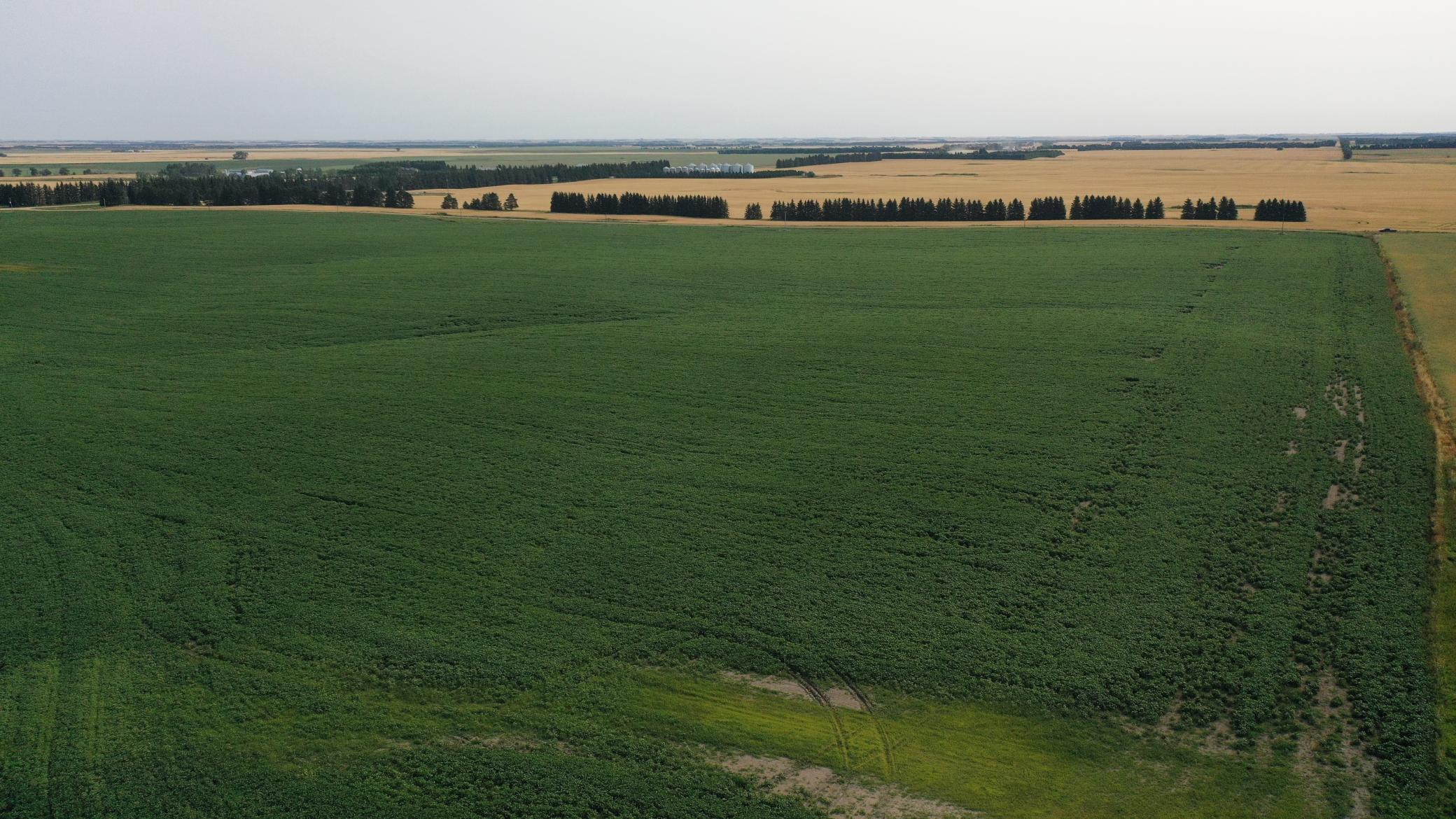 land for sale at TBD 366th ave NW in Kenmare, ND (photo 4 of 27)
