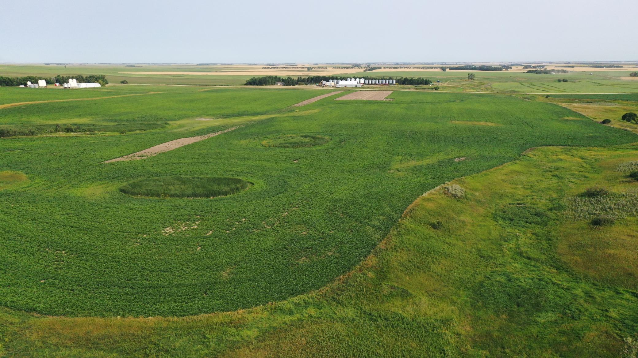 land for sale at TBD 366th ave NW in Kenmare, ND (photo 5 of 27)