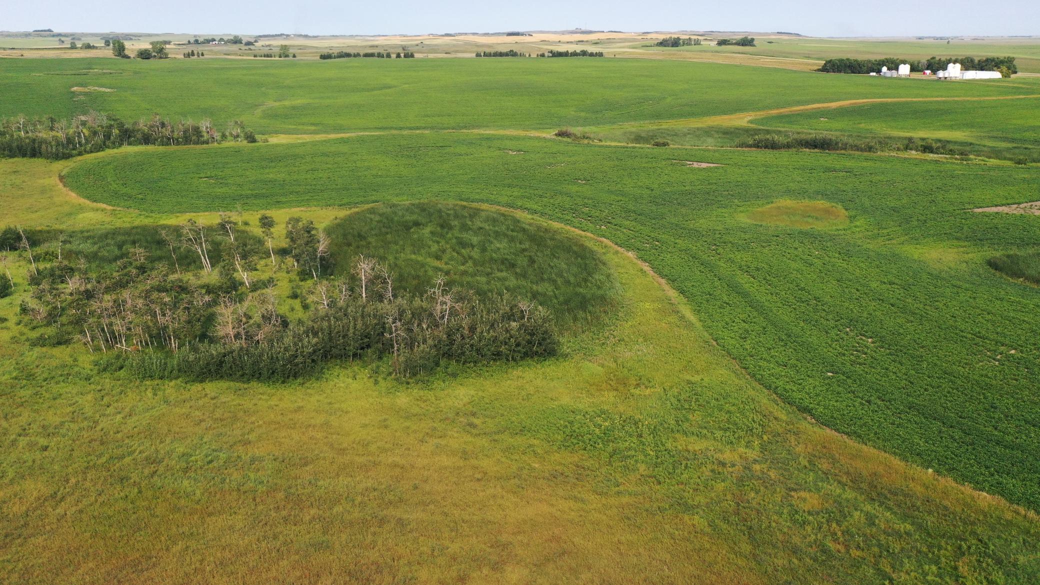 land for sale at TBD 366th ave NW in Kenmare, ND (photo 6 of 27)