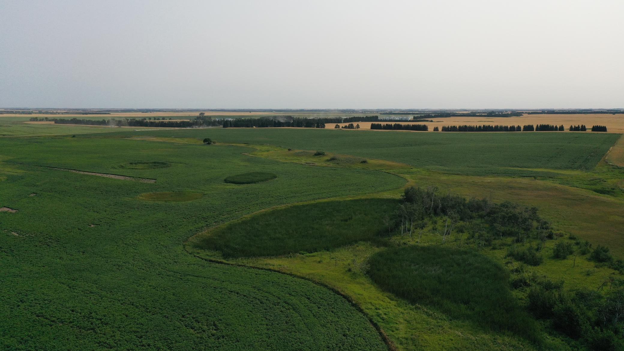 land for sale at TBD 366th ave NW in Kenmare, ND (photo 7 of 27)