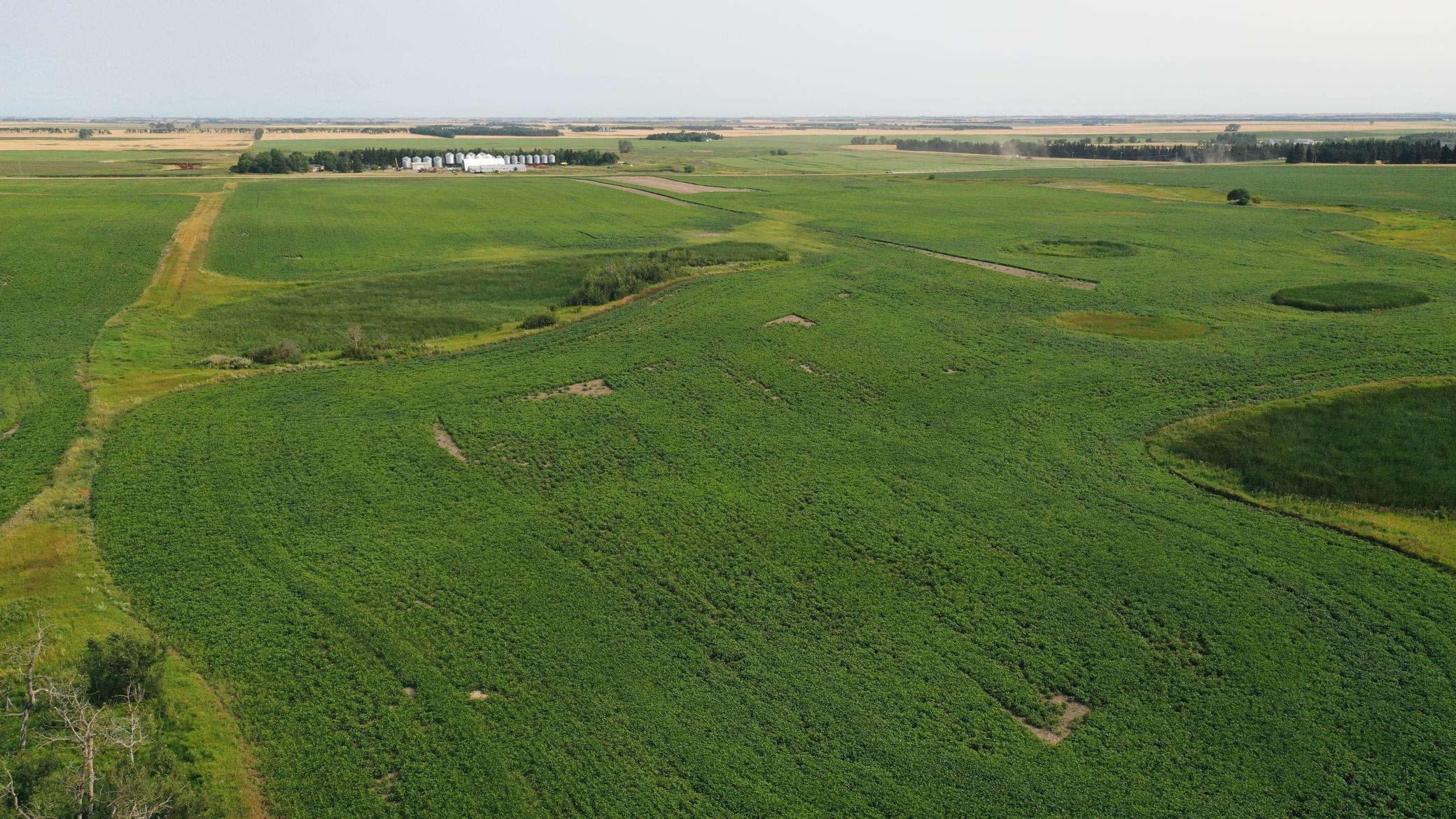 land for sale at TBD 366th ave NW in Kenmare, ND (photo 8 of 27)