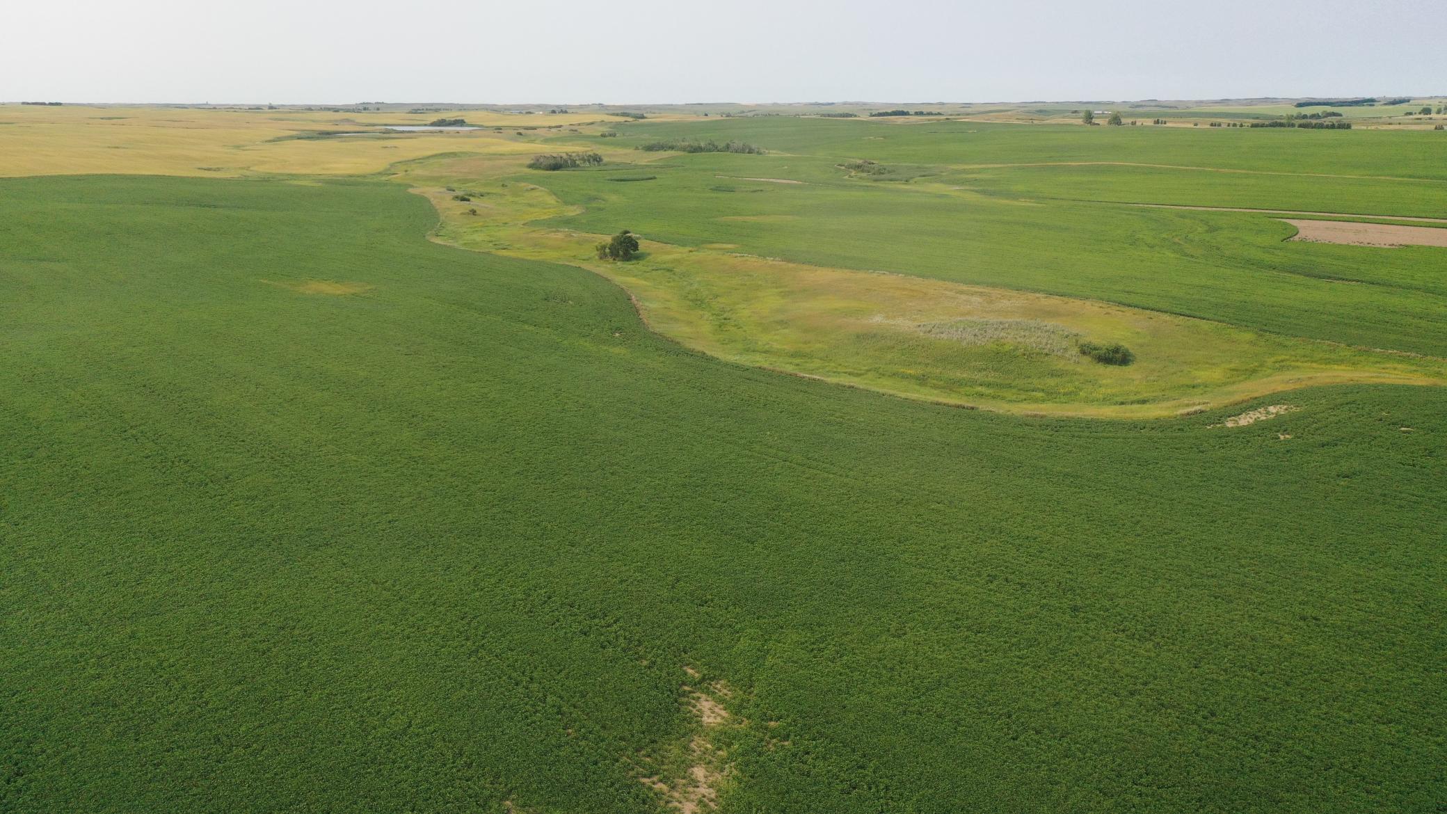 land for sale at TBD 366th ave NW in Kenmare, ND (photo 10 of 27)