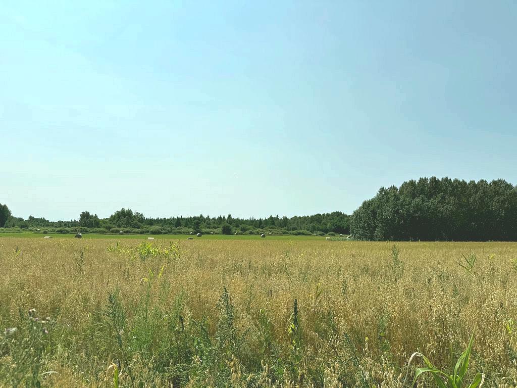 1908 single family home for sale at 15078 580th Avenue in Menahga, MN — 4 bed, 2 bath (photo 57 of 61)