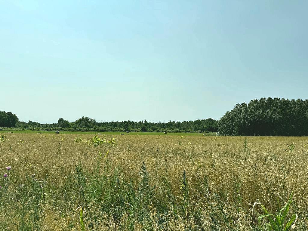 1908 single family home for sale at 15078 580th Avenue in Menahga, MN — 4 bed, 2 bath (photo 58 of 61)