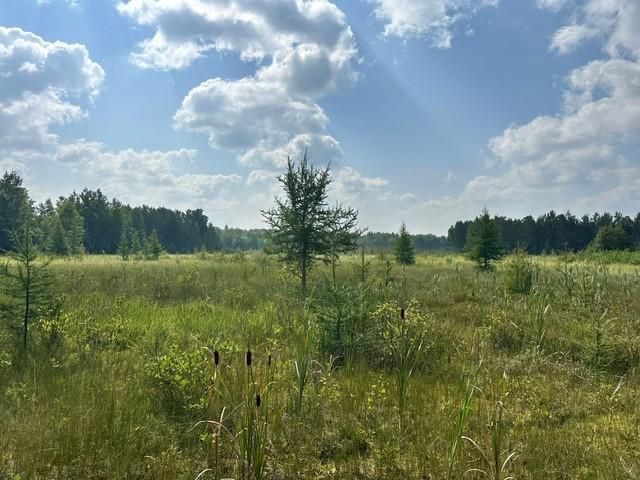 land for sale at 38542 Cr-45 in Laporte, MN (photo 7 of 10)