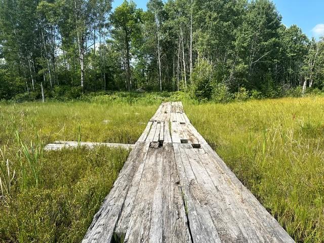 land for sale at 38542 Cr-45 in Laporte, MN (photo 8 of 10)