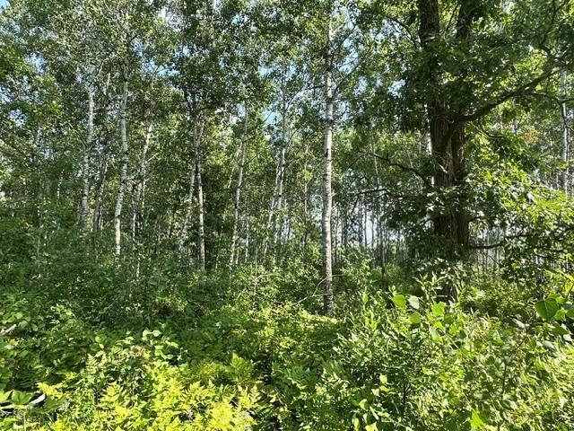 land for sale at 38542 Cr-45 in Laporte, MN (photo 9 of 10)