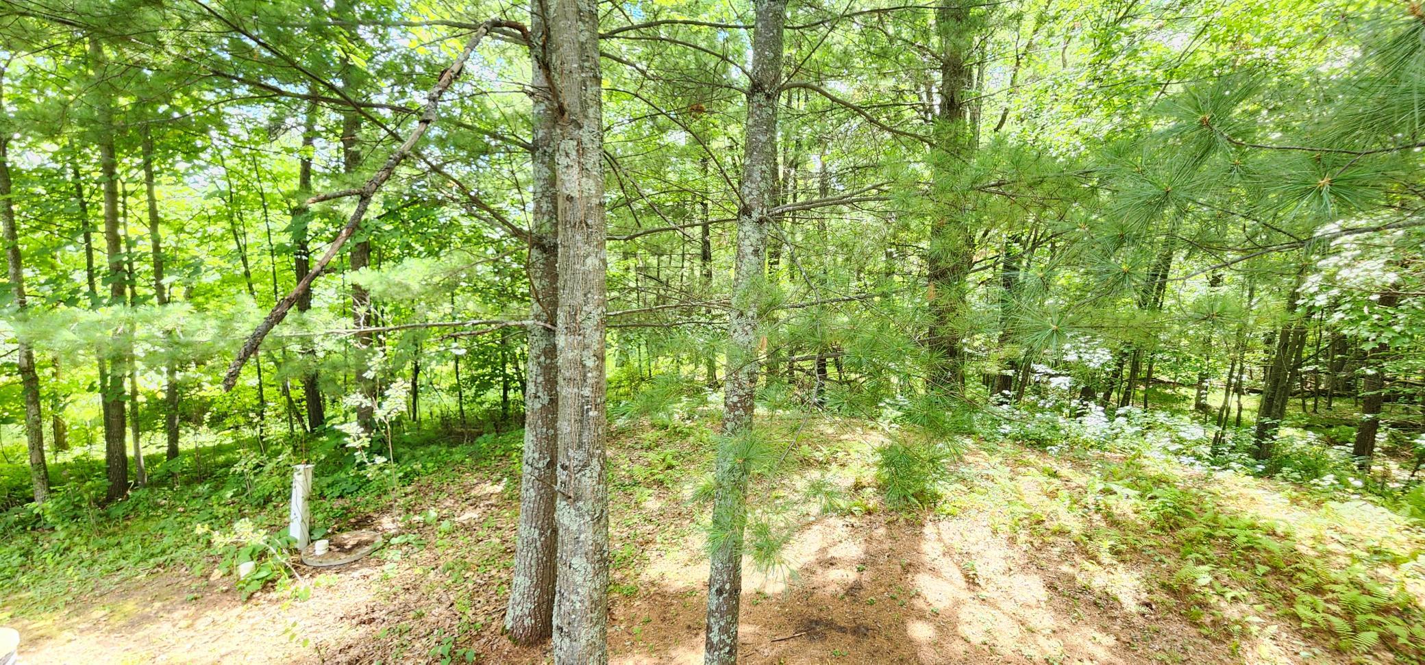 2006 single family home for sale at 6438 Cougar Trail NW in Walker, MN — 3 bed, 2 bath (photo 22 of 28)