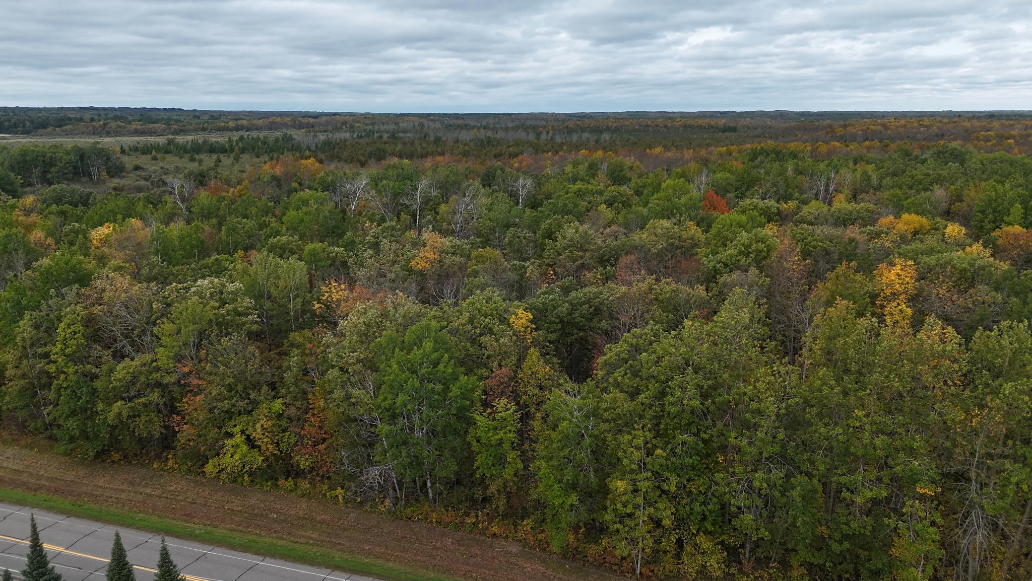 land for sale at TBD XXX County Rd 65 NE in Deer River, MN (photo 5 of 6)