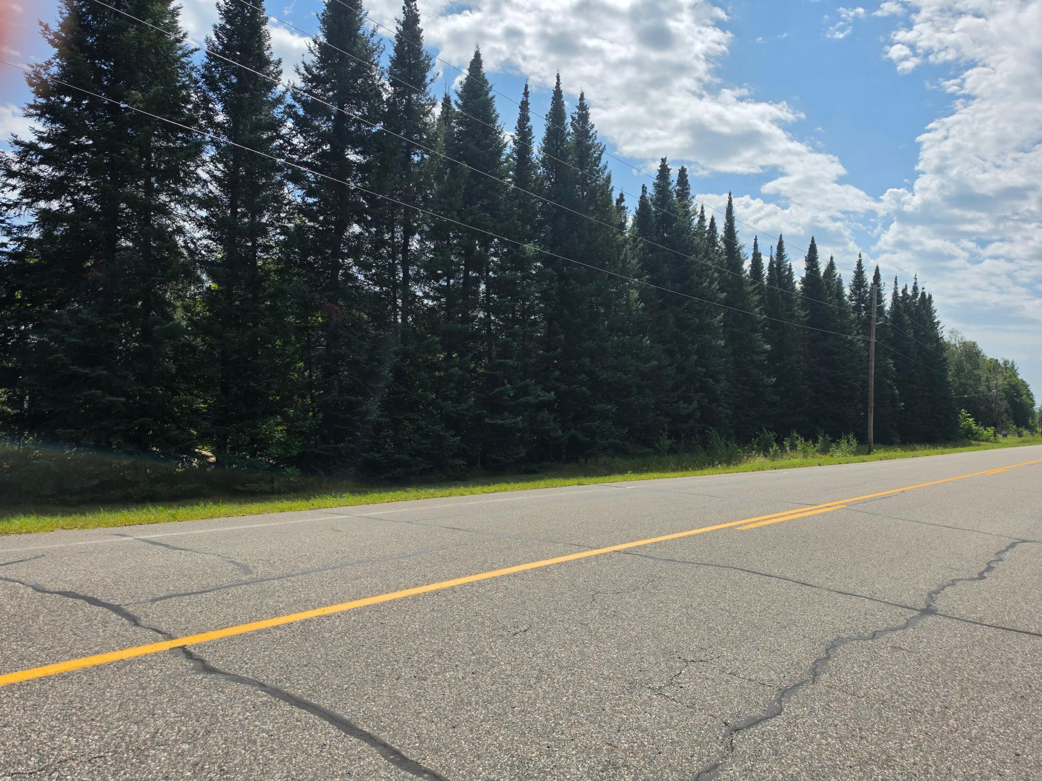 land for sale at TBD XXX County Rd 65 NE in Deer River, MN (photo 6 of 6)