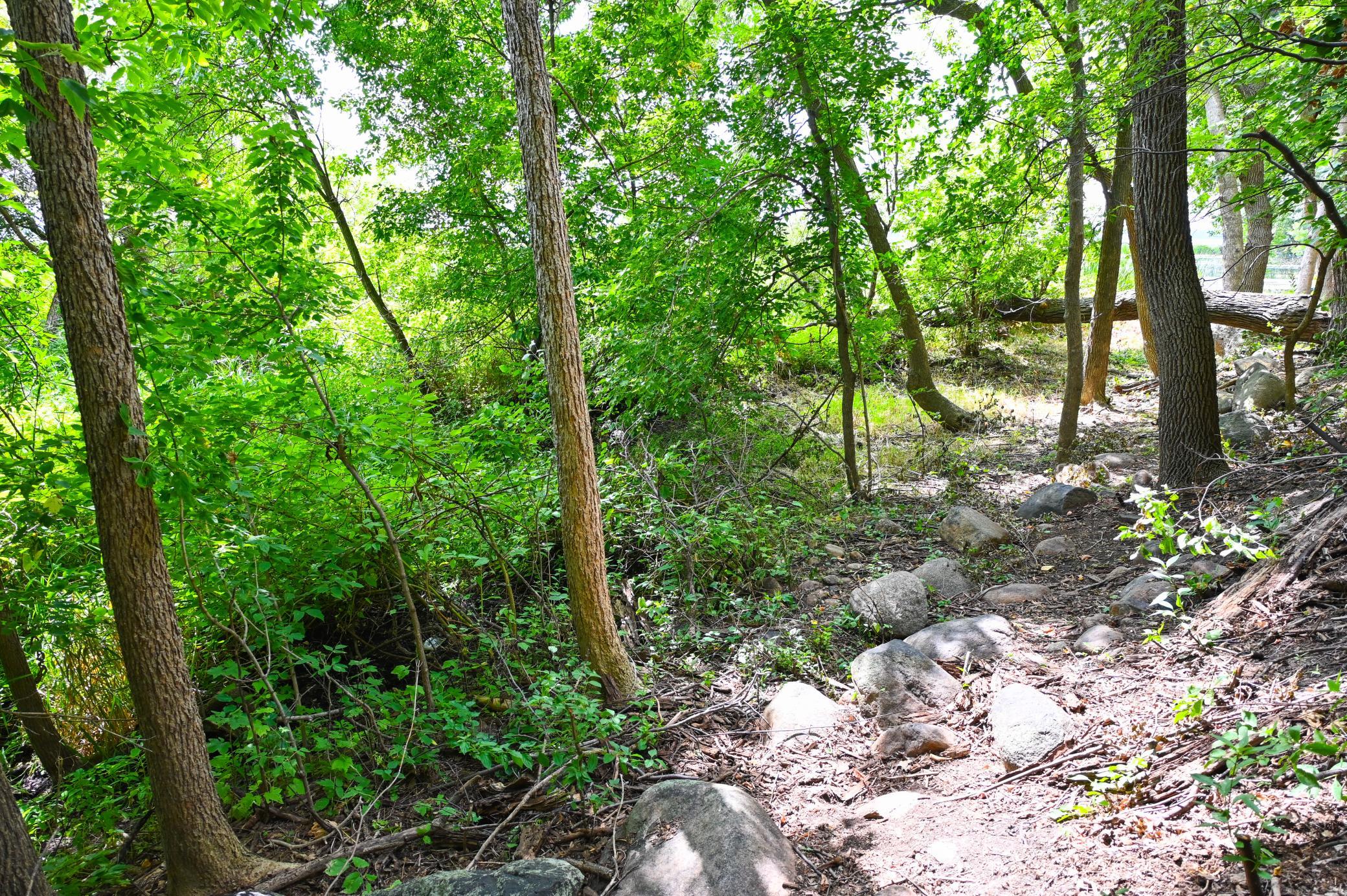 land for sale at TBD Tamarac Circle NE in Miltona, MN (photo 6 of 15)