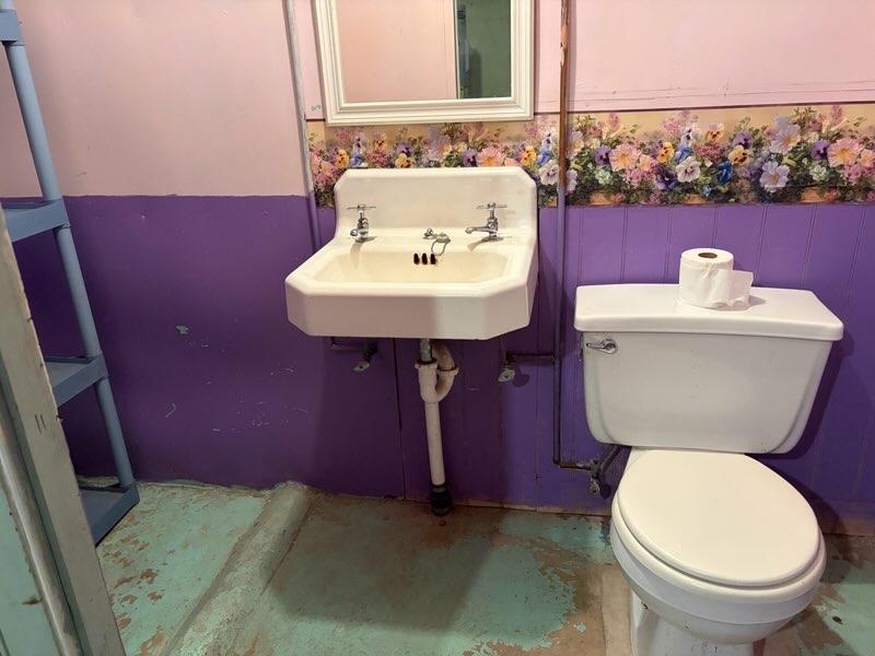 1910 single family home for sale at 209 6th Street SE in Barnesville, MN — 2 bed, 2 bath (photo 28 of 31)