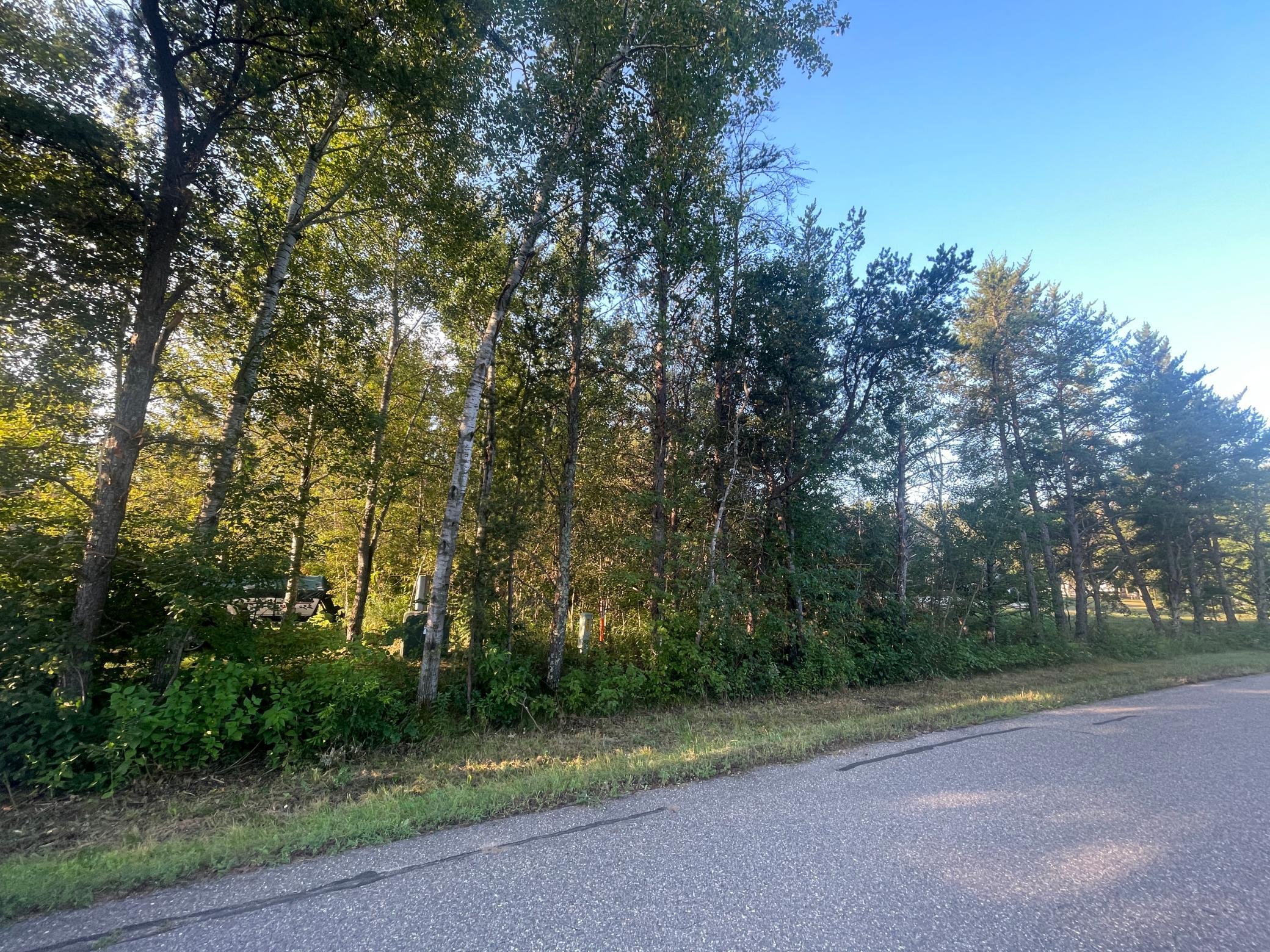 land for sale at TBD Crow Wing Circle SW in Pillager, MN (photo 3 of 10)