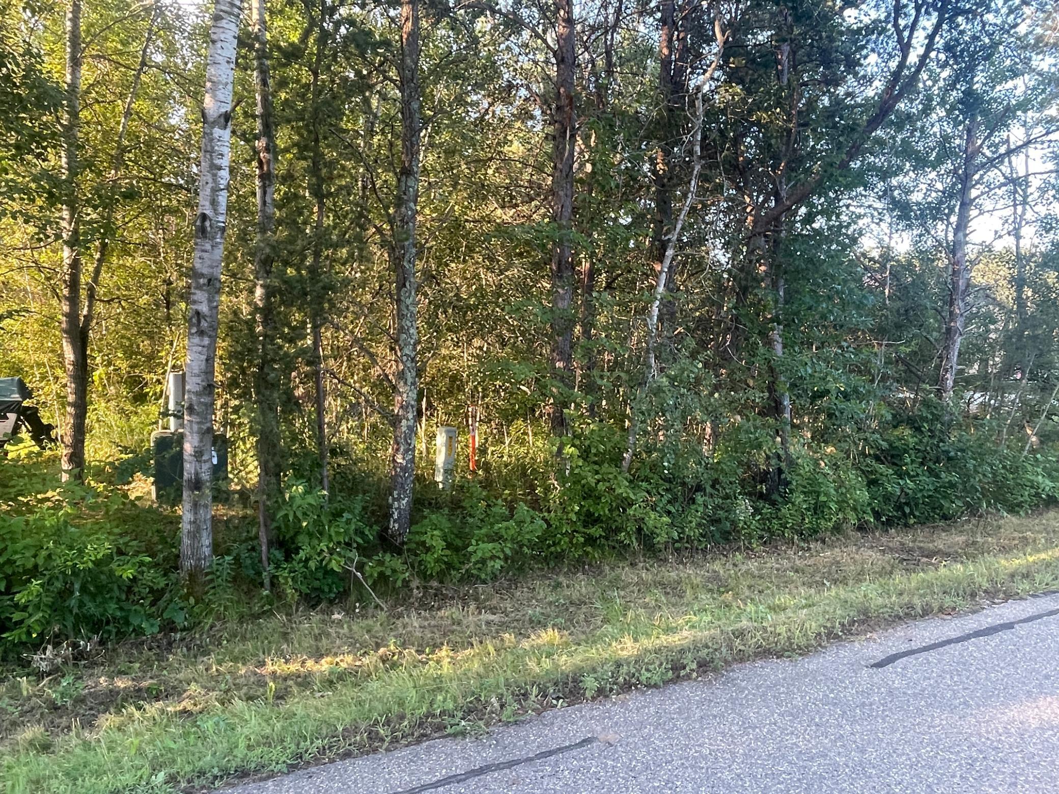 land for sale at TBD Crow Wing Circle SW in Pillager, MN (photo 4 of 10)