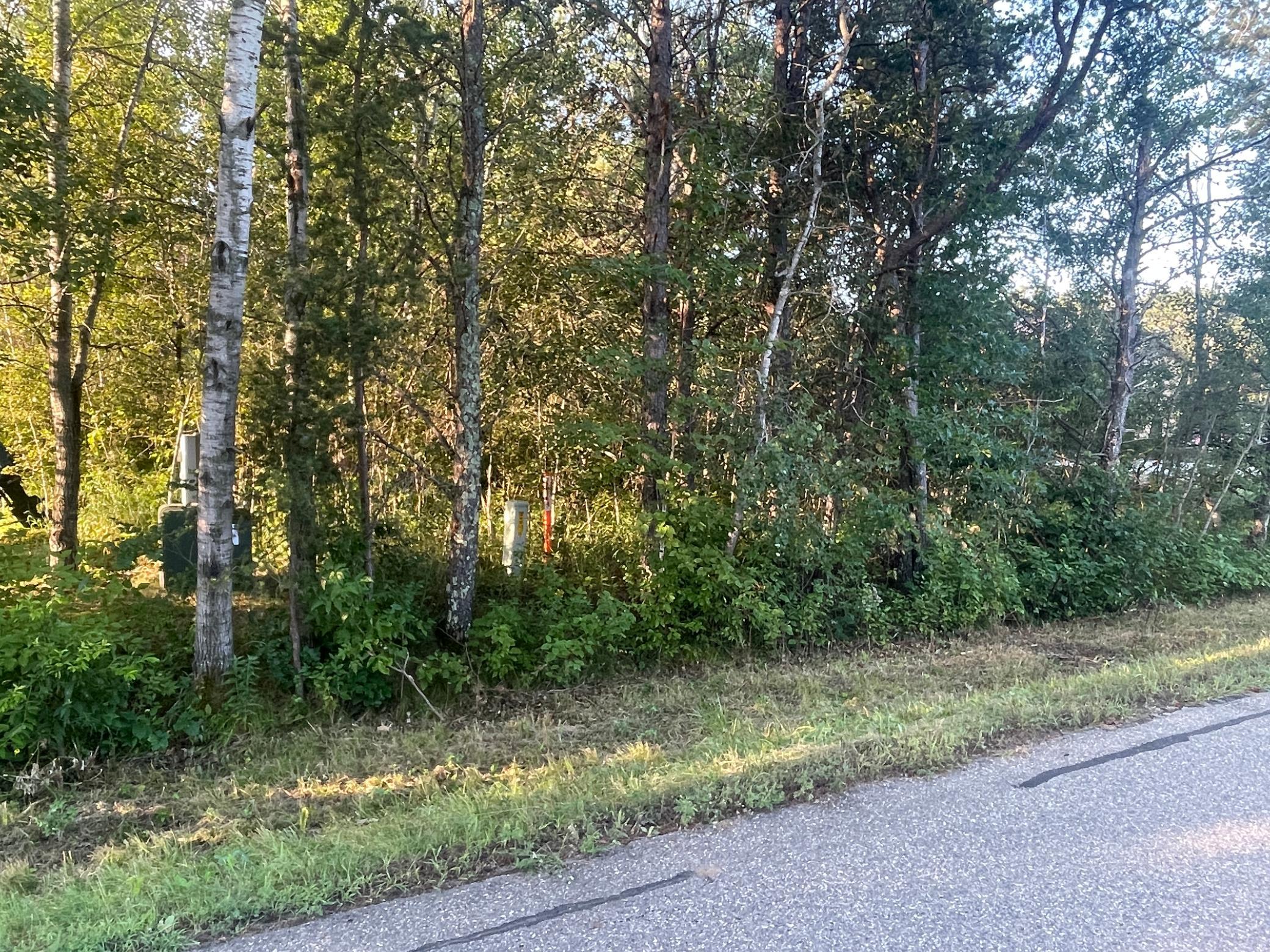 land for sale at TBD Crow Wing Circle SW in Pillager, MN (photo 5 of 10)