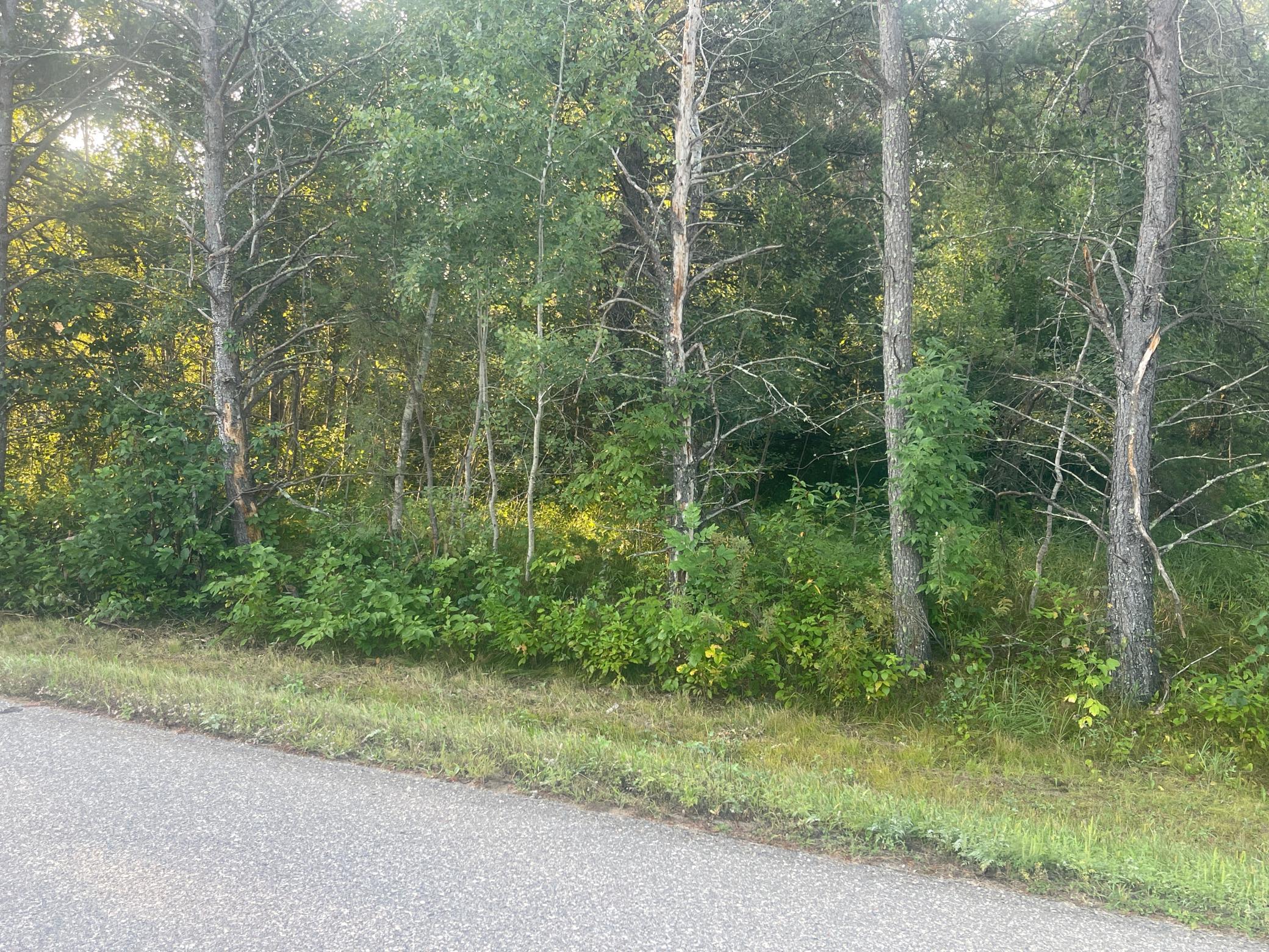 land for sale at TBD Crow Wing Circle SW in Pillager, MN (photo 6 of 10)