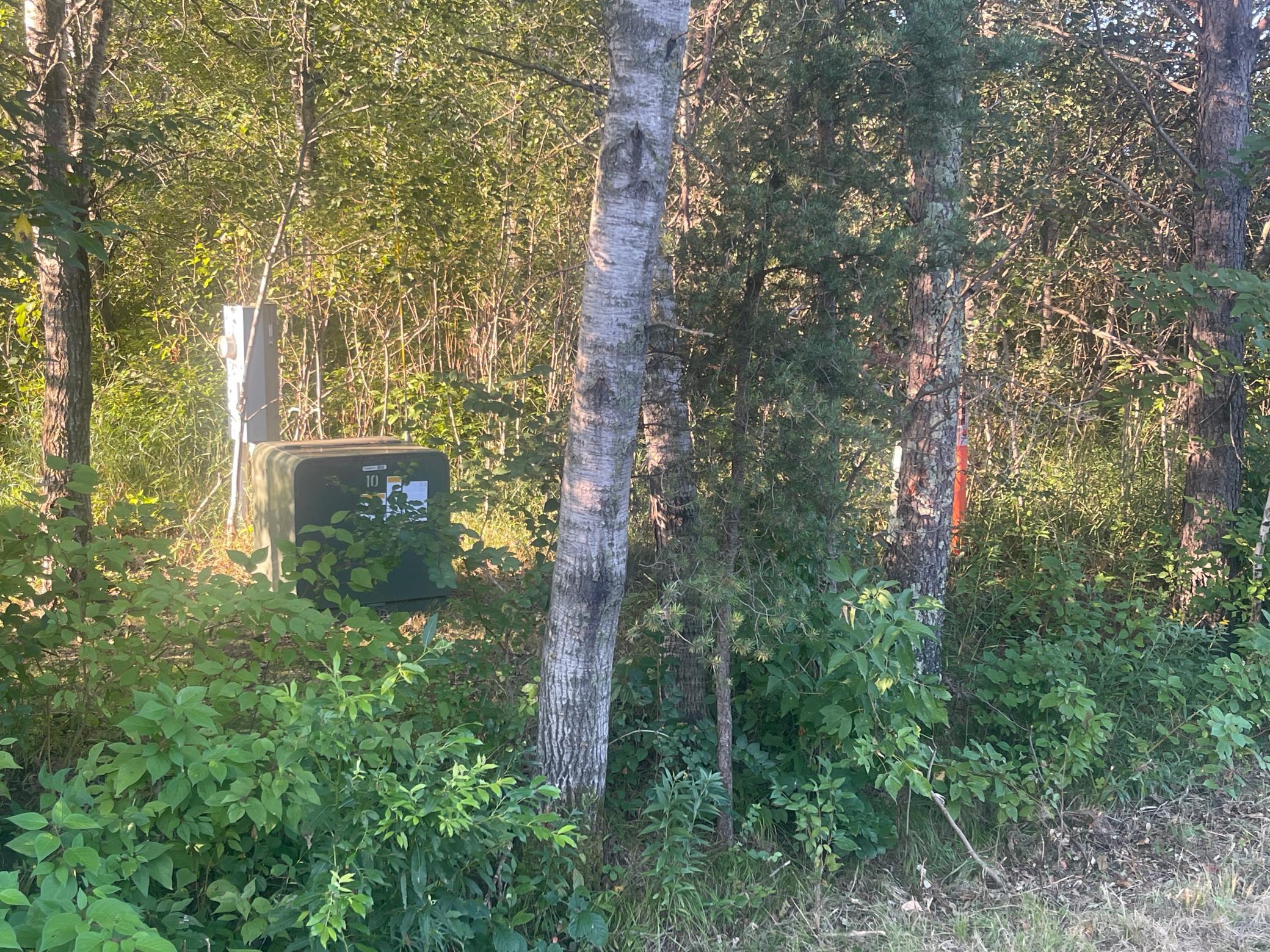 land for sale at TBD Crow Wing Circle SW in Pillager, MN (photo 10 of 10)