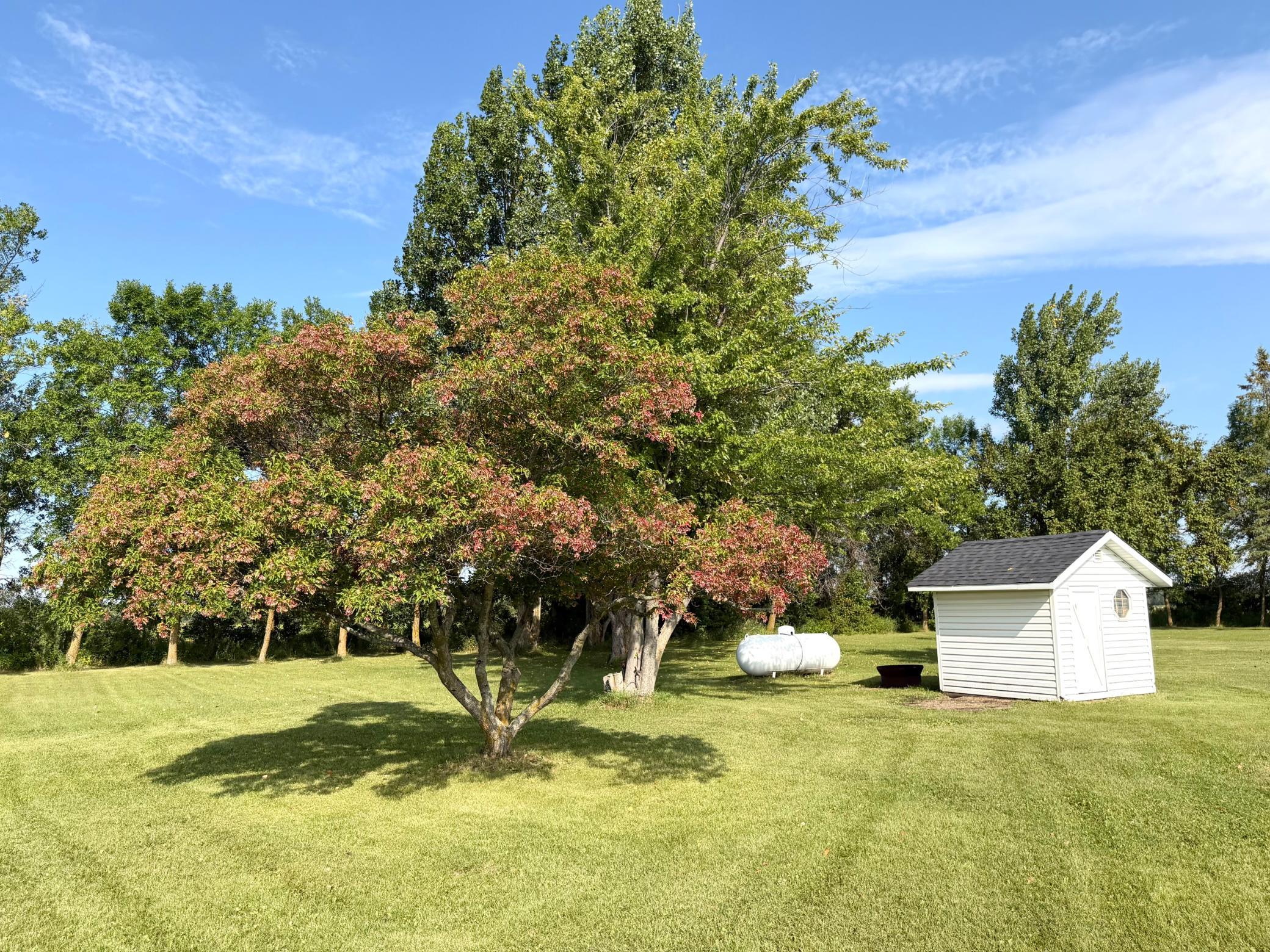 1910 single family home for sale at 28707 350th Avenue in Roseau, MN — 4 bed, 2 bath (photo 21 of 24)