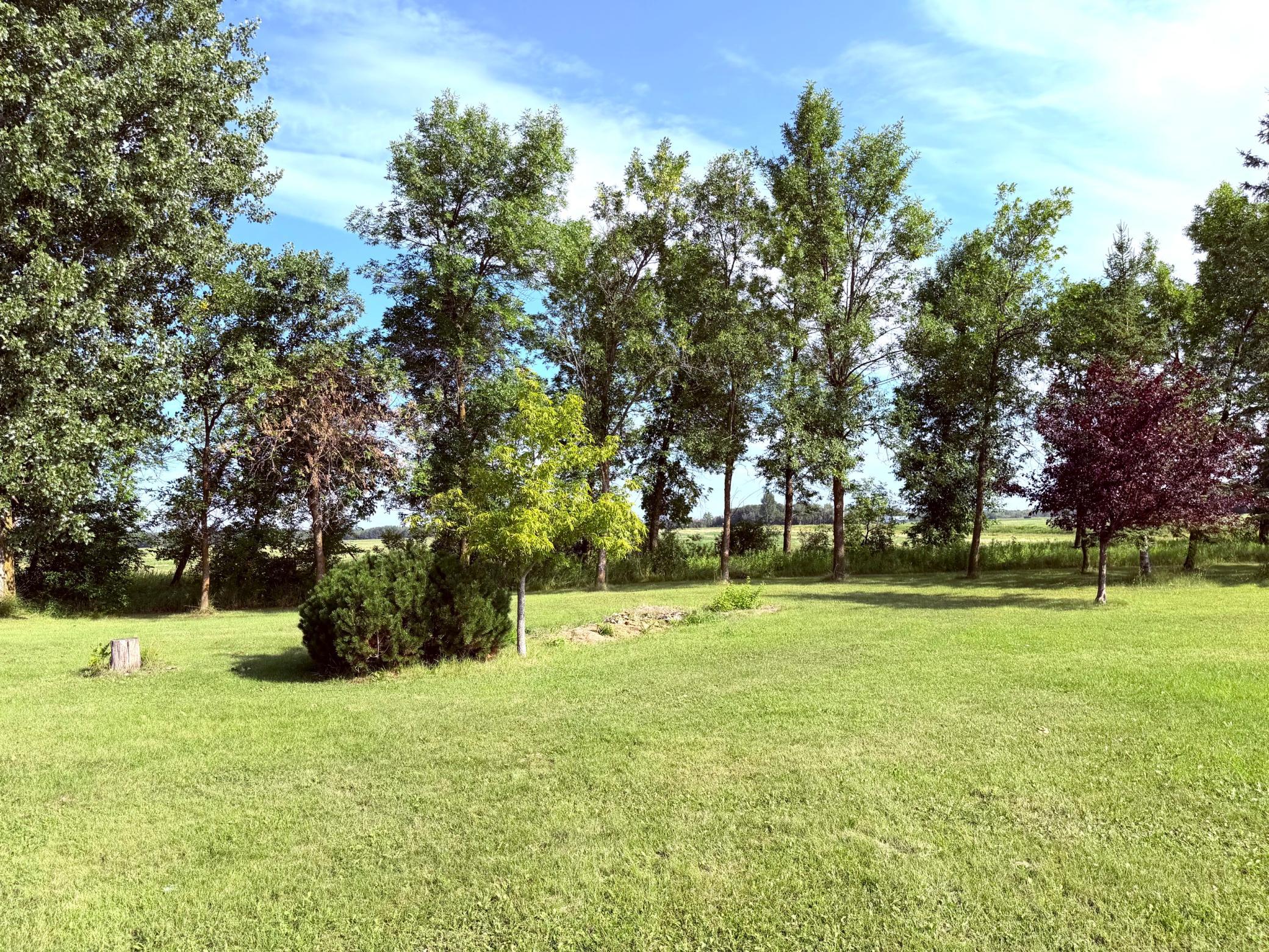 1910 single family home for sale at 28707 350th Avenue in Roseau, MN — 4 bed, 2 bath (photo 24 of 24)