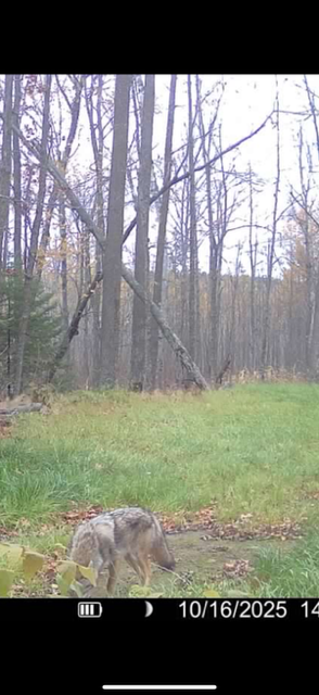 land for sale at 67246 340th Avenue in Hill City, MN (photo 11 of 26)