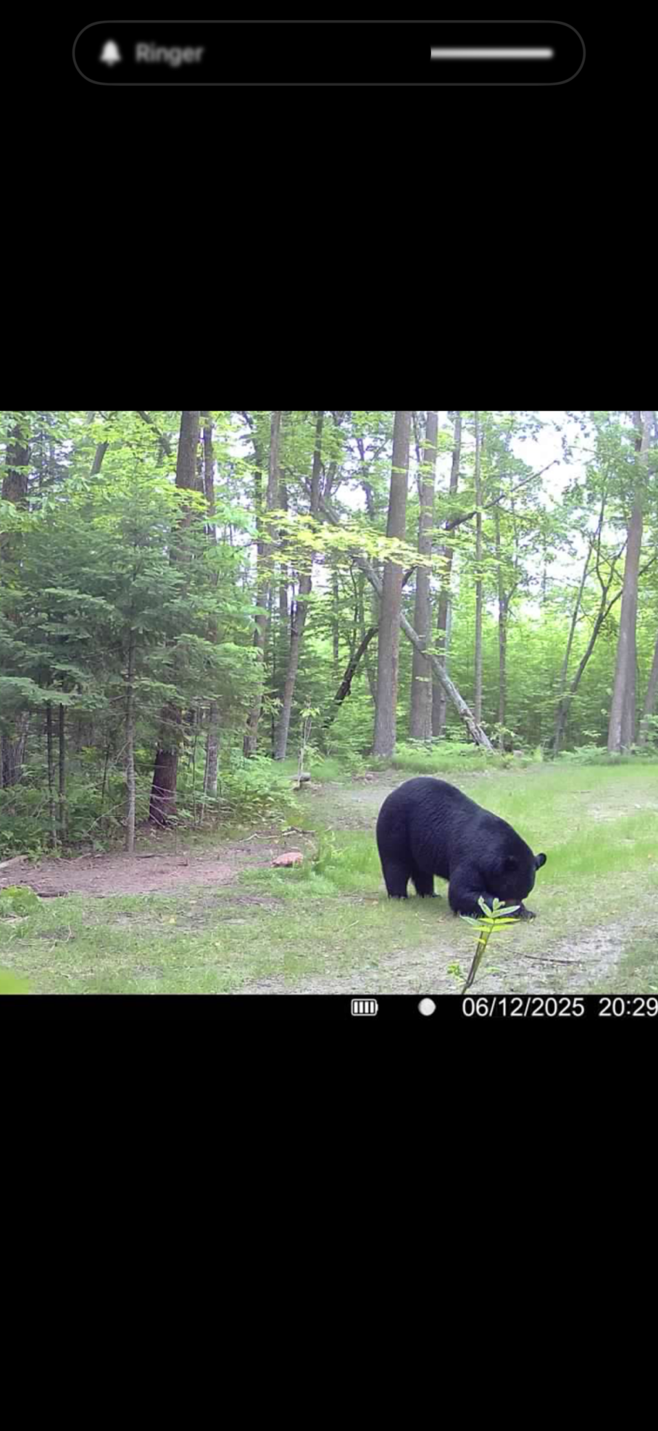 land for sale at 67246 340th Avenue in Hill City, MN (photo 14 of 26)