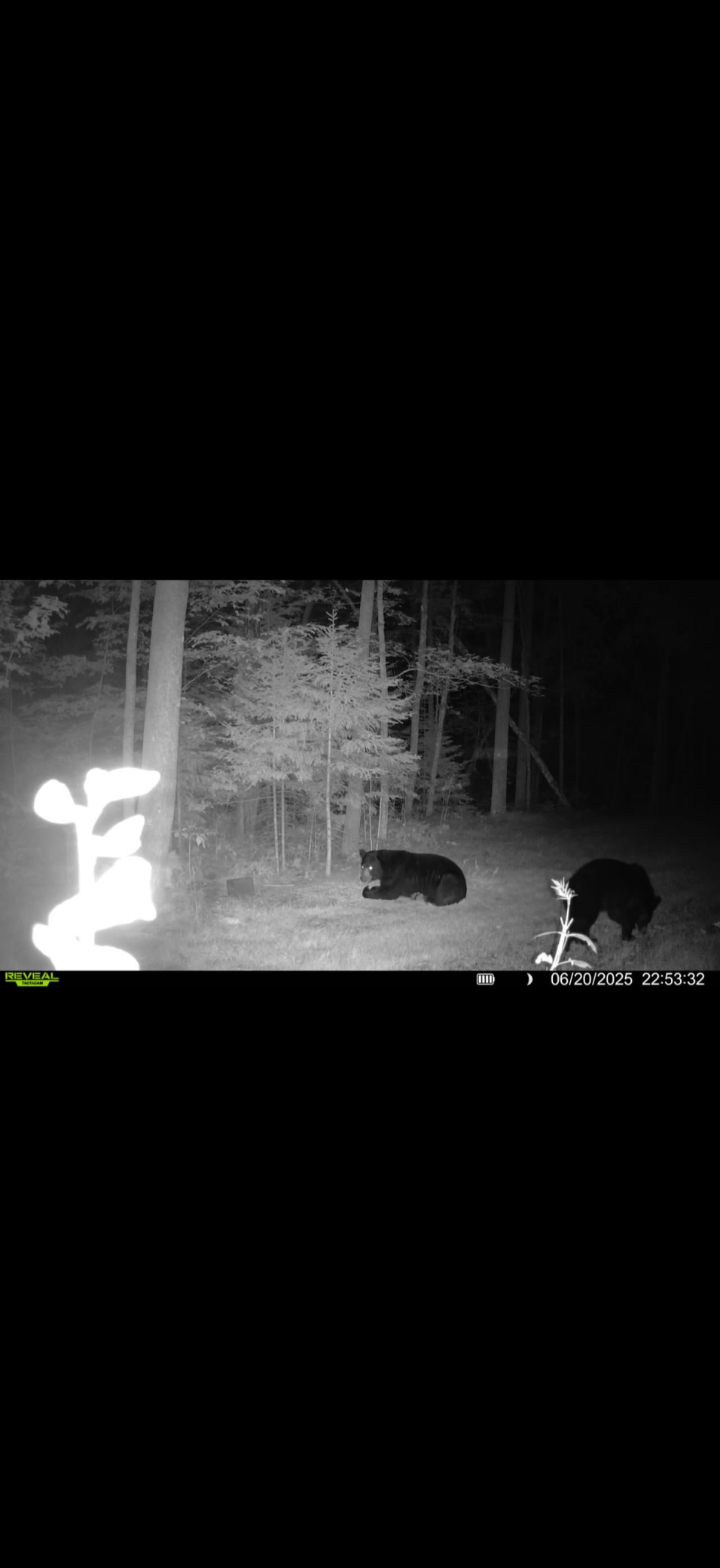 land for sale at 67246 340th Avenue in Hill City, MN (photo 15 of 26)