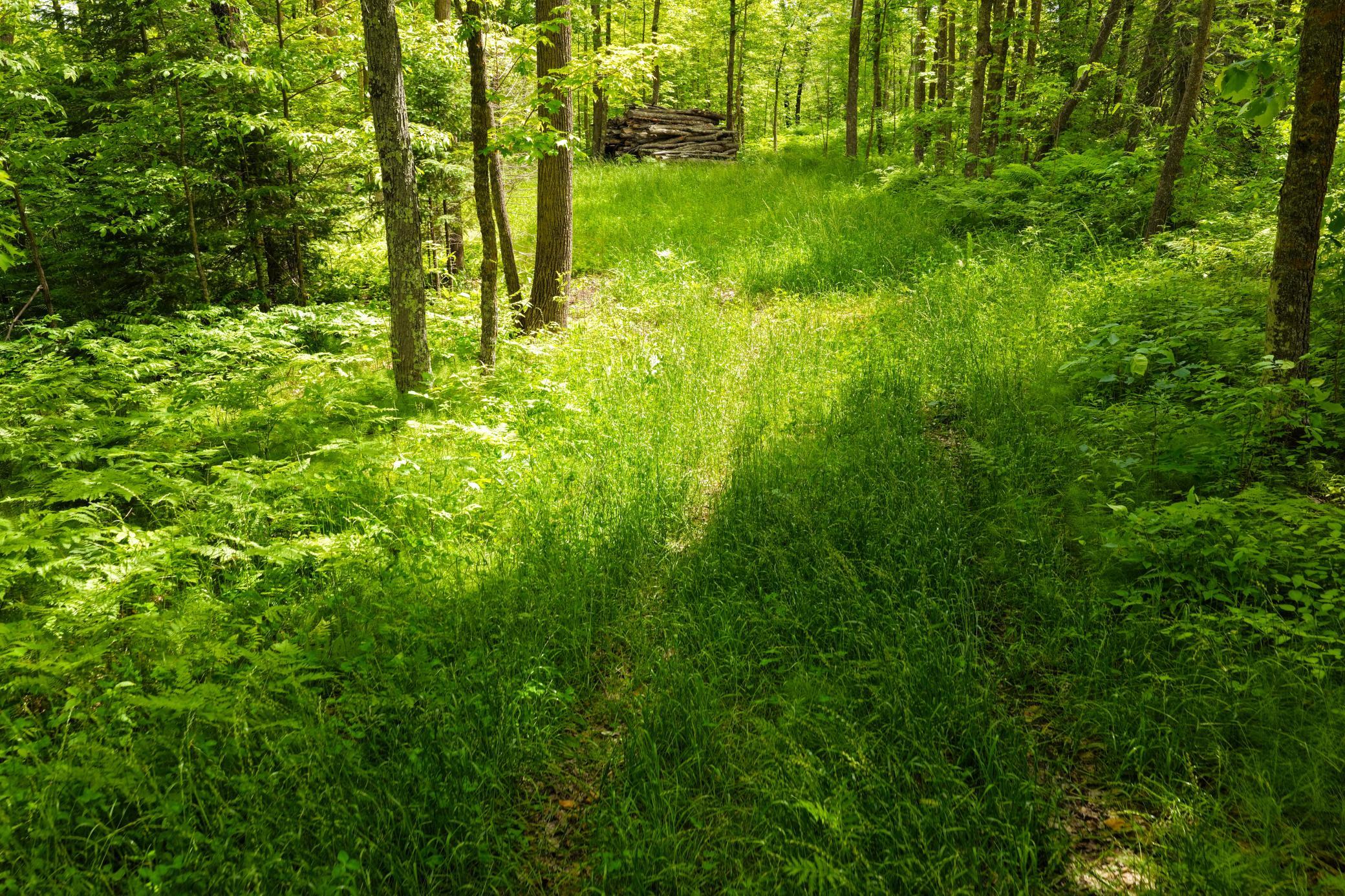land for sale at 67246 340th Avenue in Hill City, MN (photo 17 of 26)