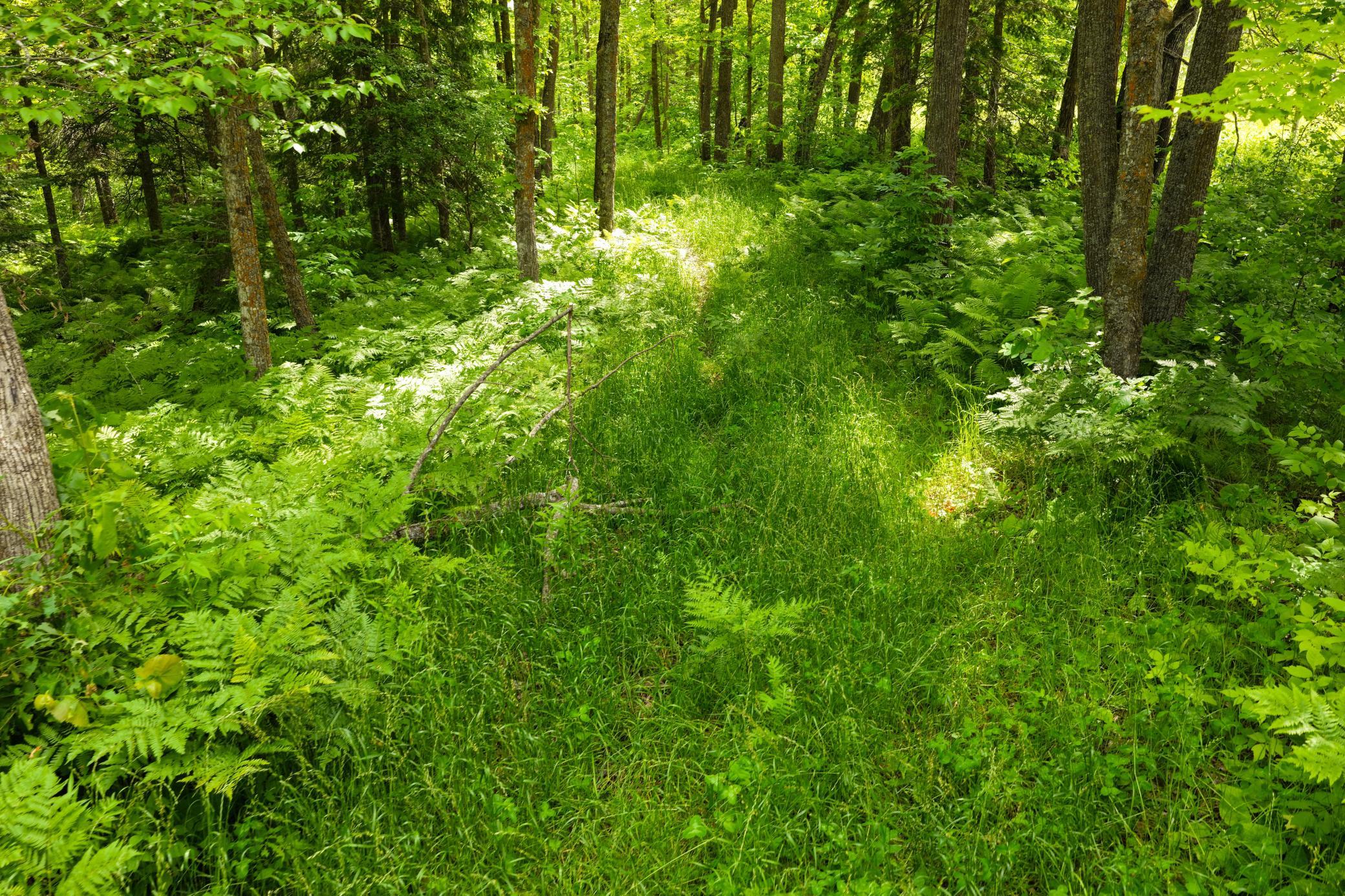 land for sale at 67246 340th Avenue in Hill City, MN (photo 19 of 26)