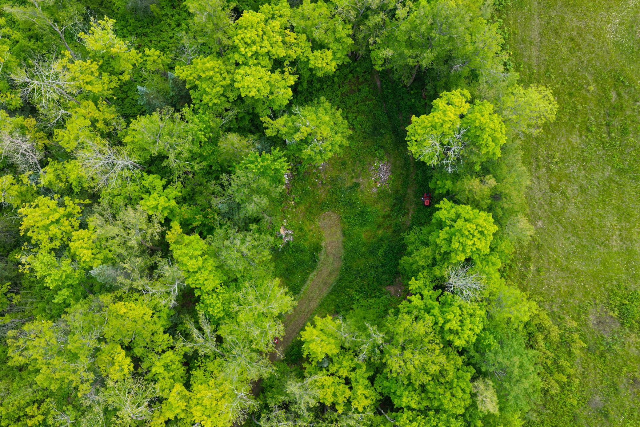 land for sale at 67246 340th Avenue in Hill City, MN (photo 3 of 26)