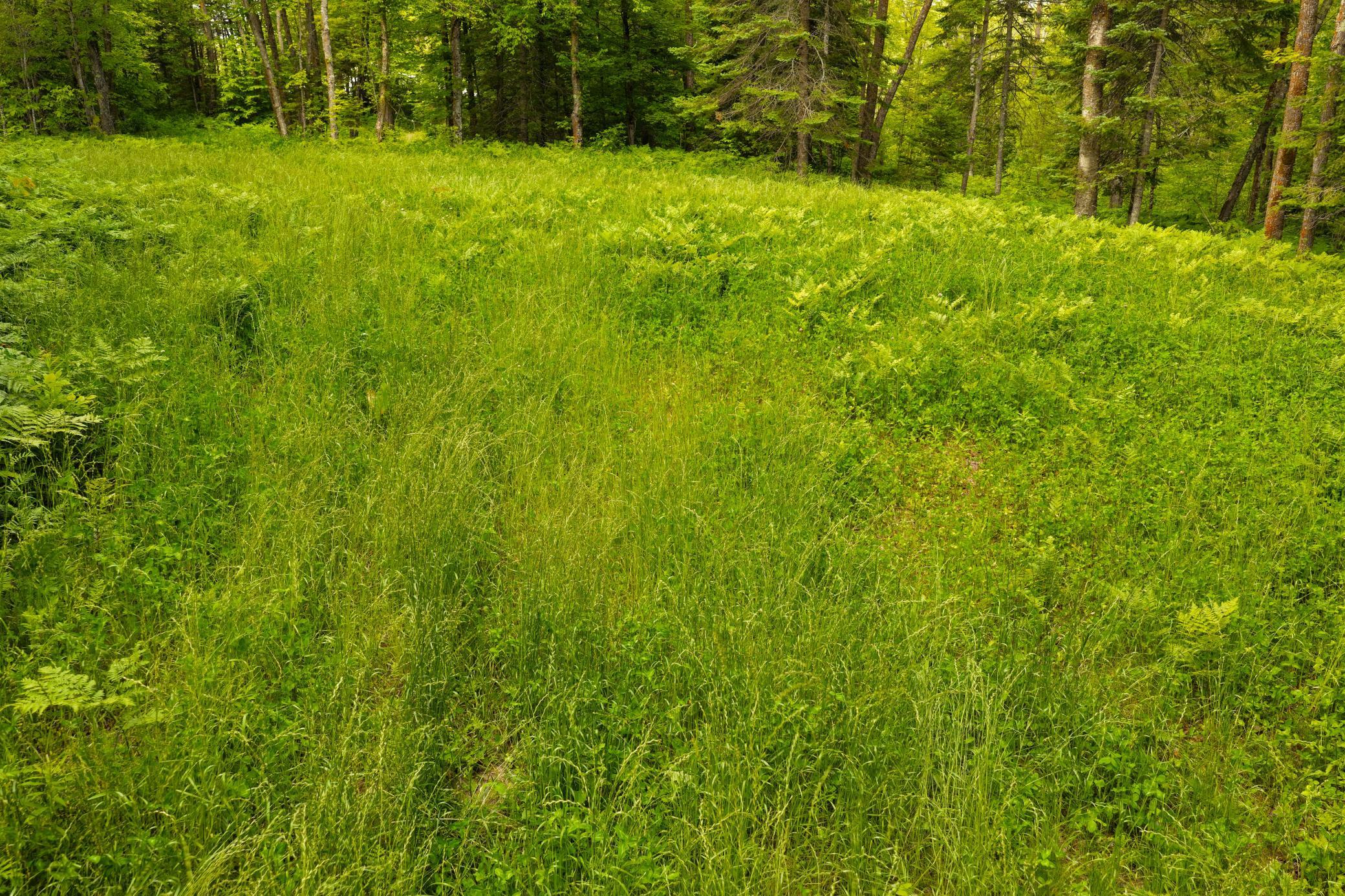 land for sale at 67246 340th Avenue in Hill City, MN (photo 10 of 26)
