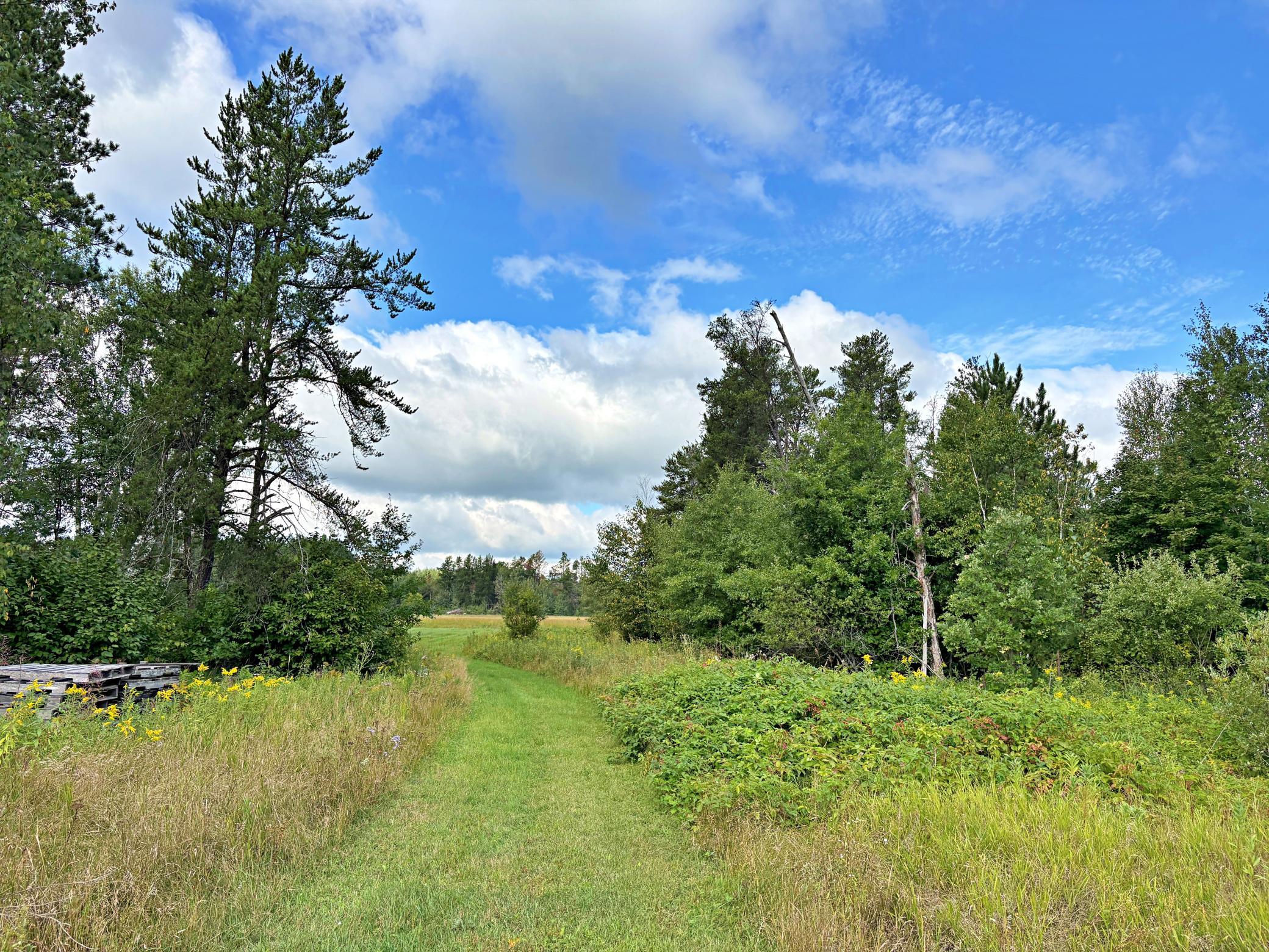 1970 single family home for sale at 15634 318th Street in Menahga, MN — 2 bed, 1 bath (photo 17 of 19)