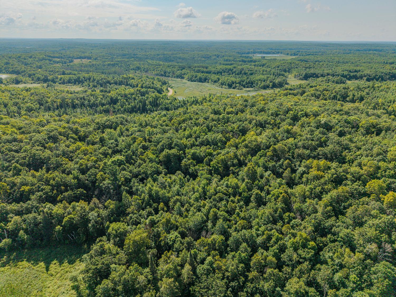 land for sale at 3281 County Road 144 in Waubun, MN (photo 11 of 22)