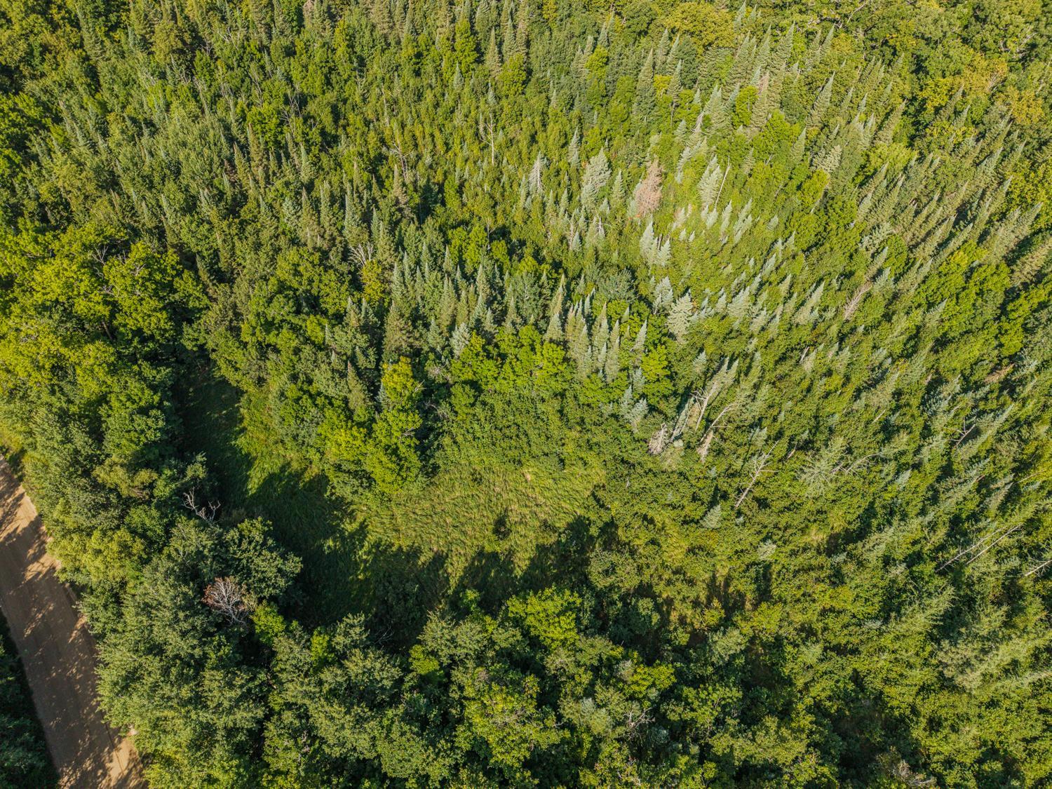land for sale at 3281 County Road 144 in Waubun, MN (photo 6 of 22)