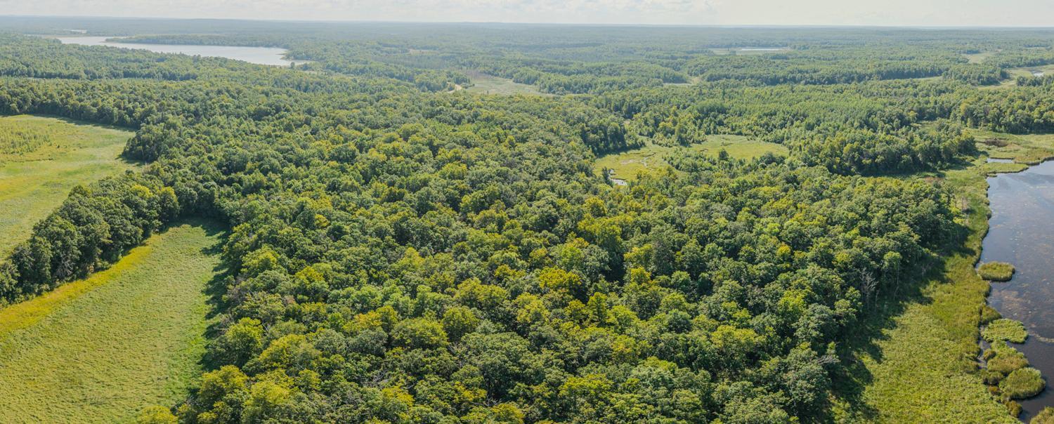land for sale at 3281 County Road 144 in Waubun, MN (photo 10 of 22)