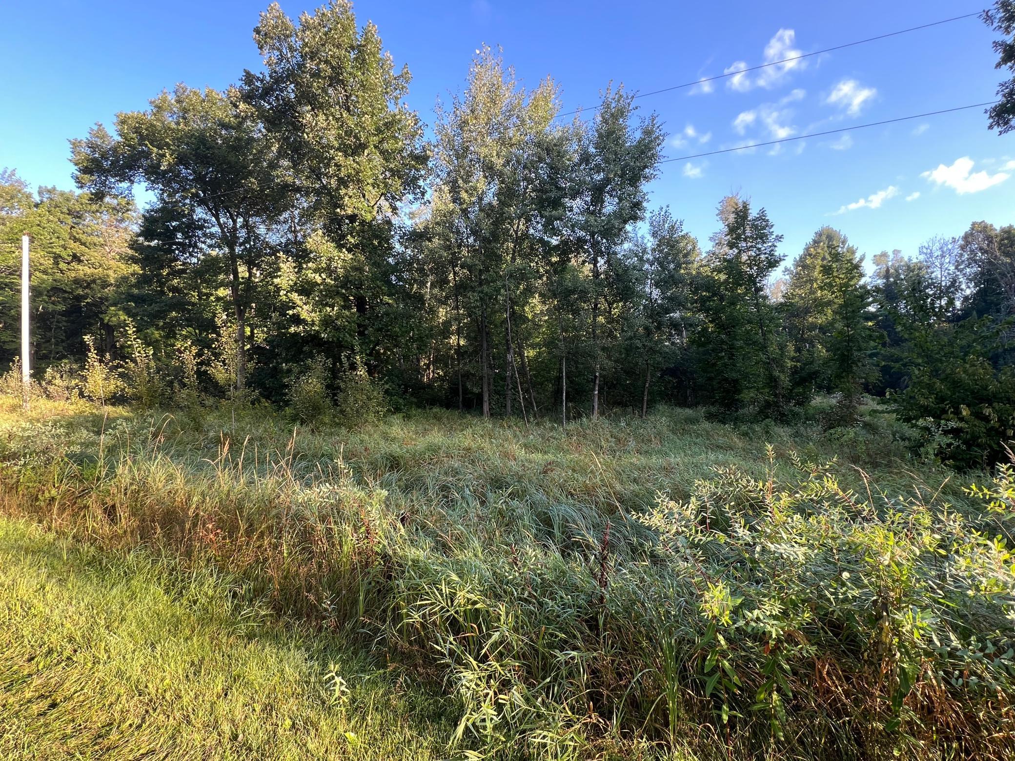 land for sale at TBD Spruce Circle in Garrison, MN (photo 2 of 4)